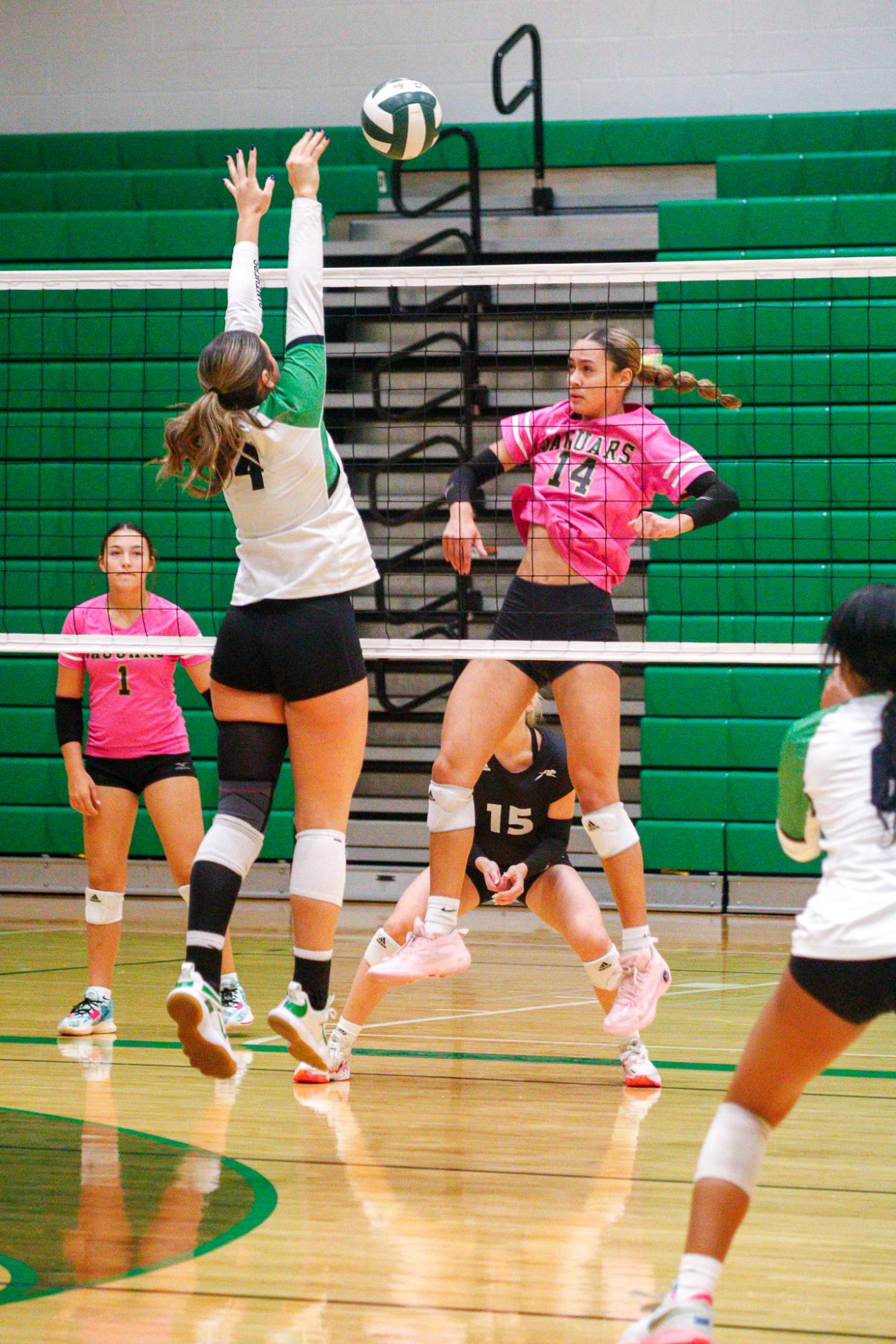 Girls Varsity Volleyball (Photos by Delainey Stephenson)