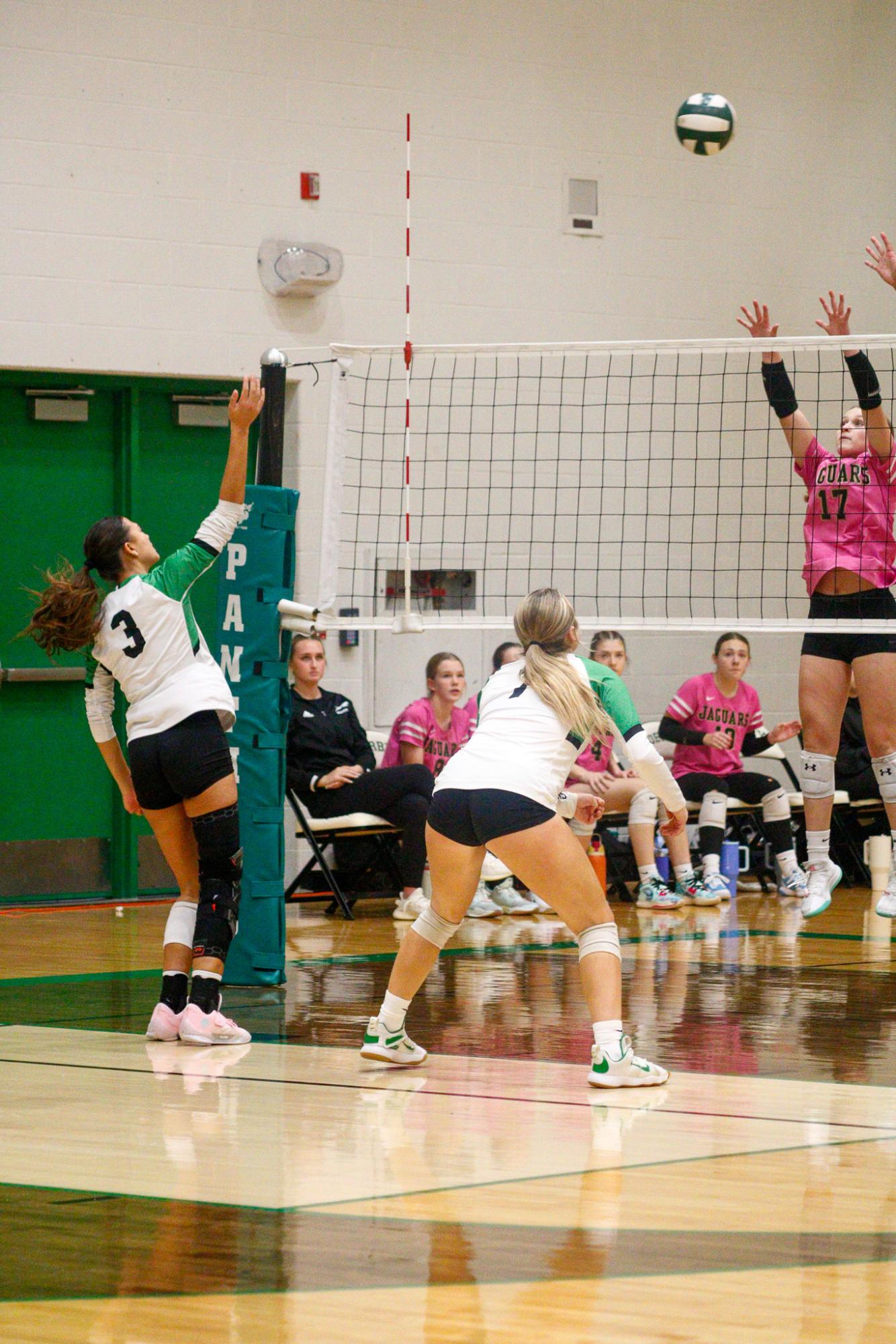 Girls Varsity Volleyball (Photos by Delainey Stephenson)