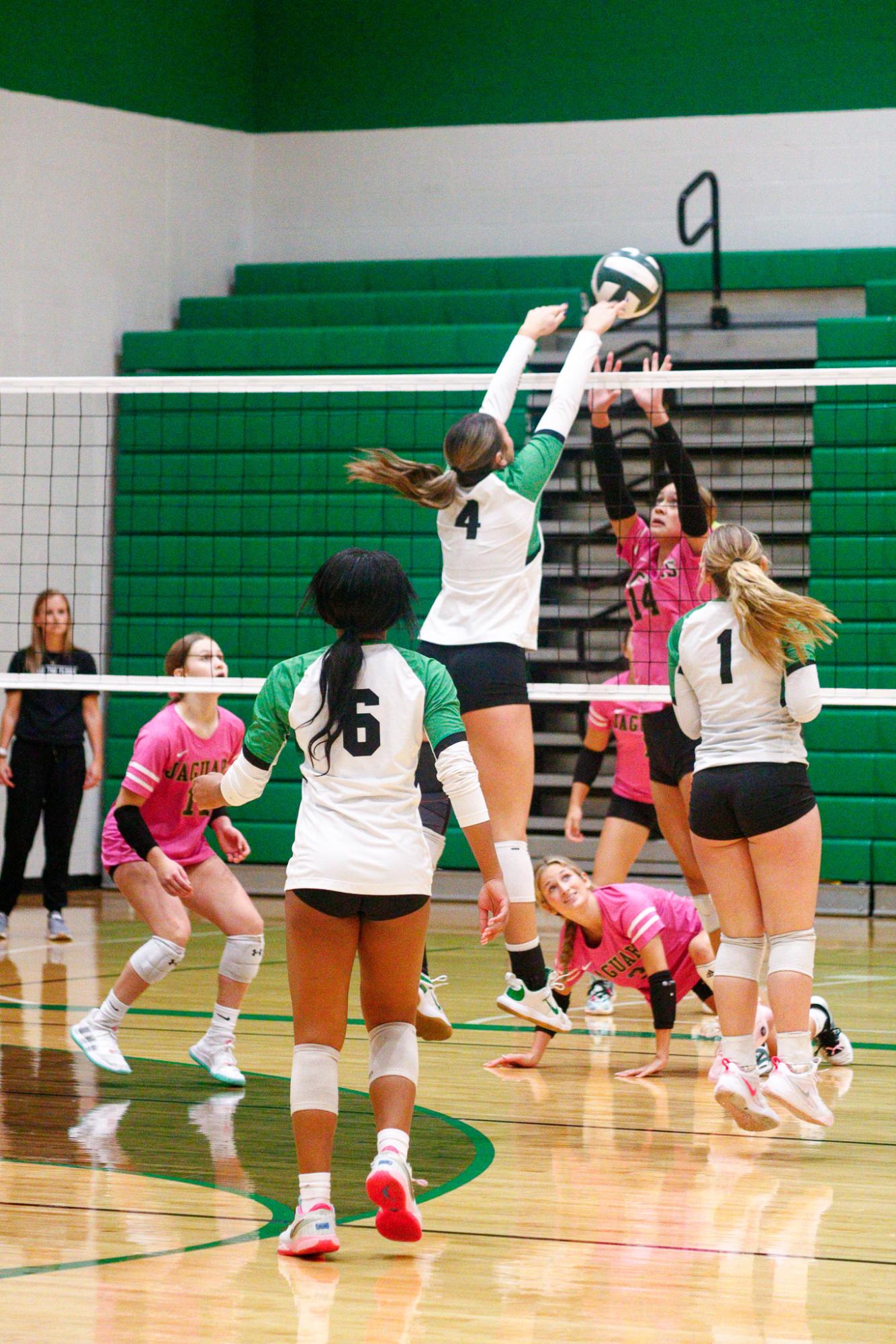 Girls Varsity Volleyball (Photos by Delainey Stephenson)