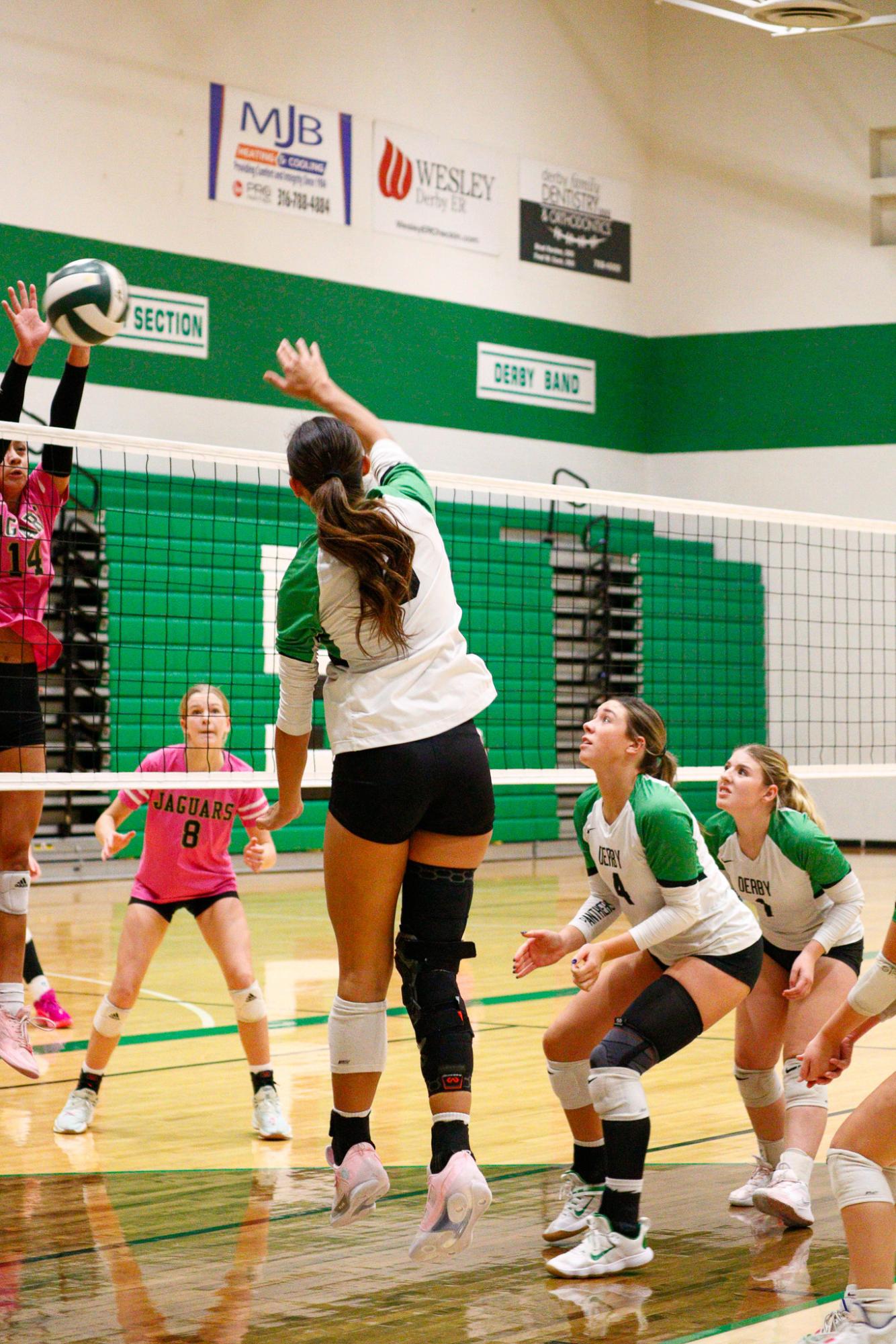 Girls Varsity Volleyball (Photos by Delainey Stephenson)