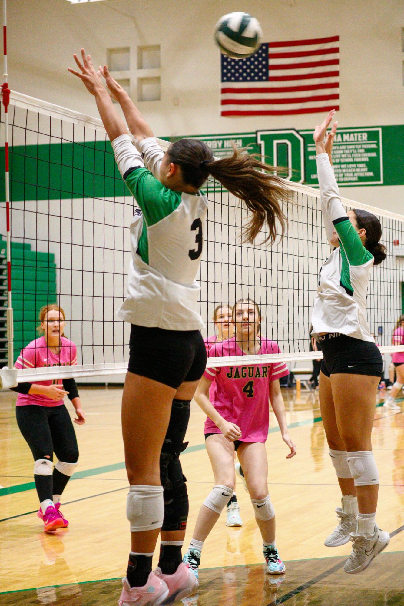 Girls Varsity Volleyball (Photos by Delainey Stephenson)