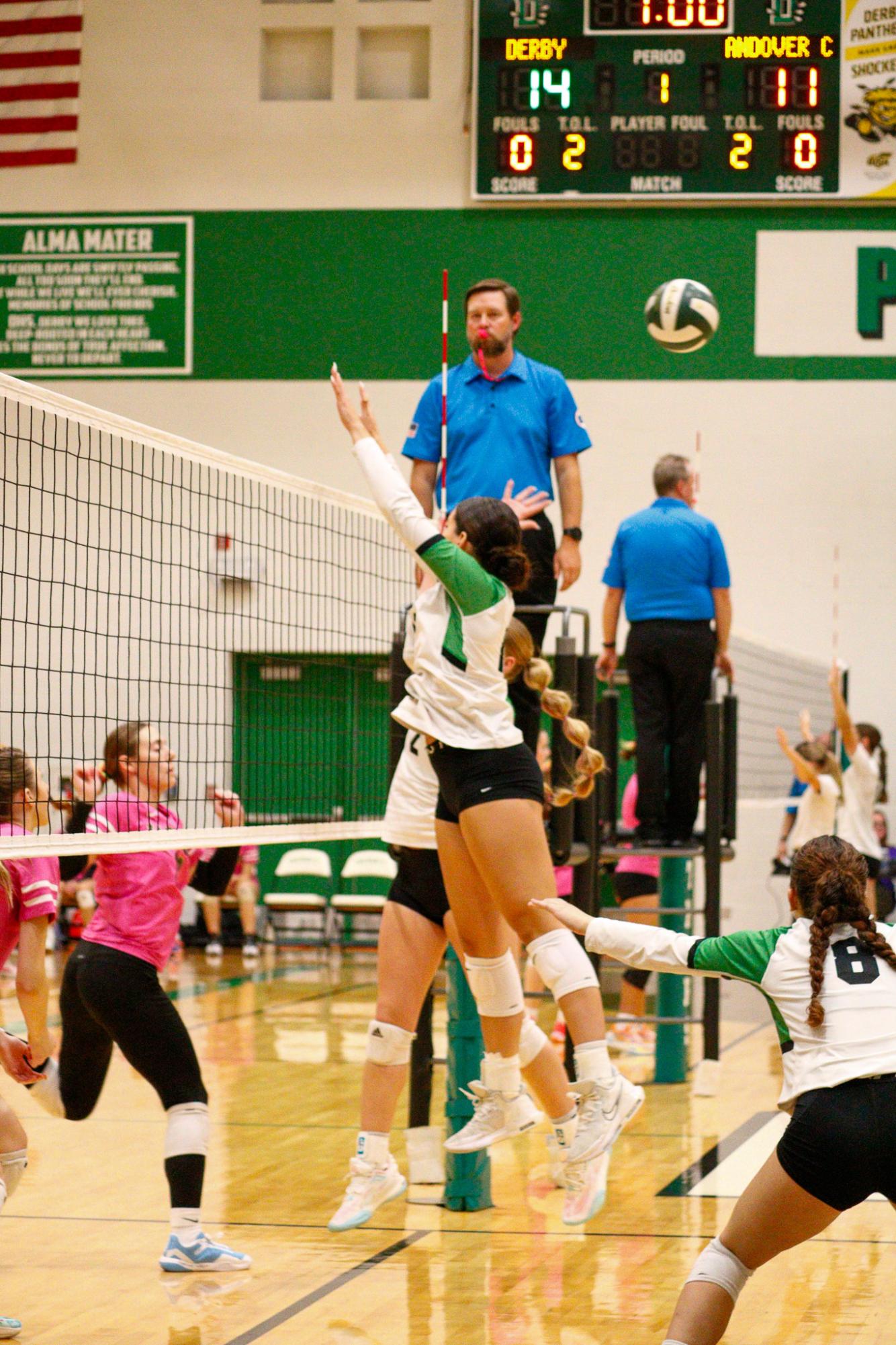 Girls Varsity Volleyball (Photos by Delainey Stephenson)