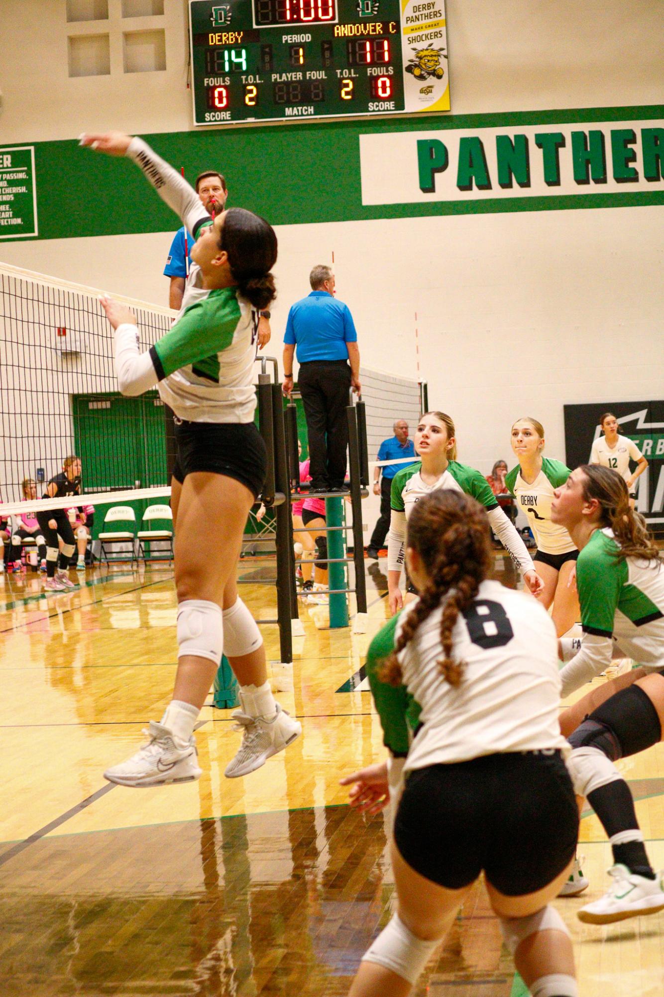 Girls Varsity Volleyball (Photos by Delainey Stephenson)