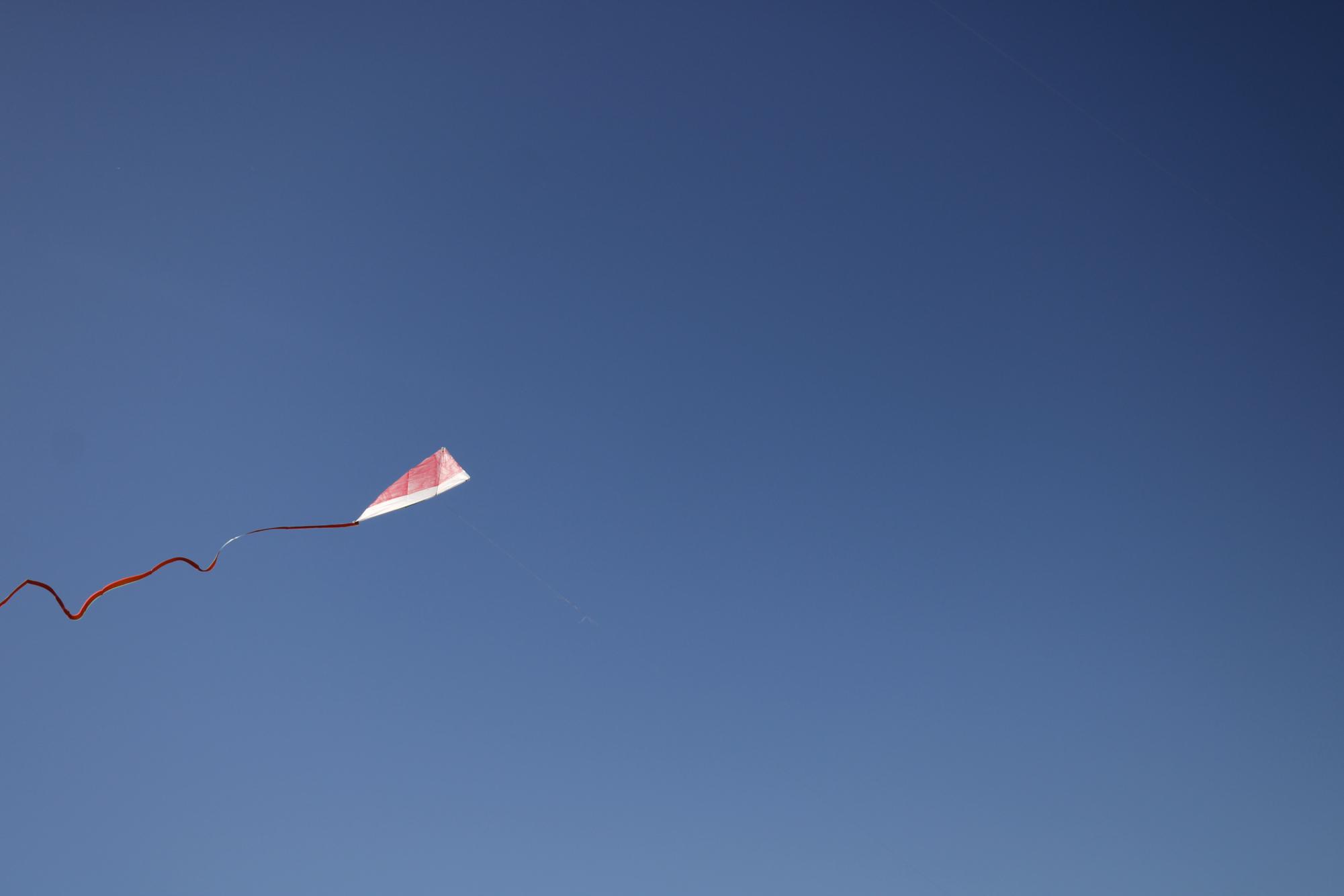 AFJROTC Kite Flying(Photos by Emily Crowell)