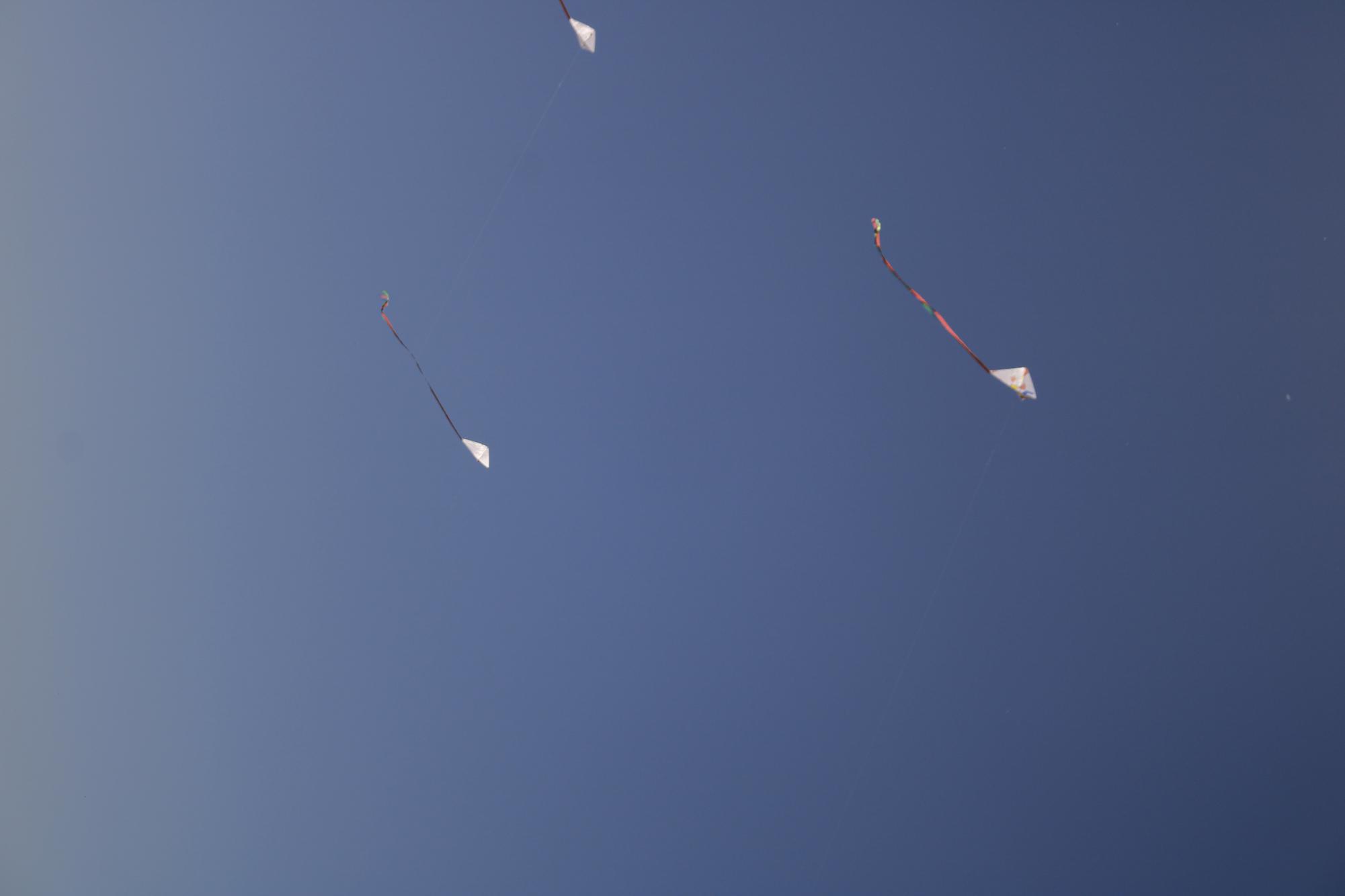 AFJROTC Kite Flying(Photos by Emily Crowell)