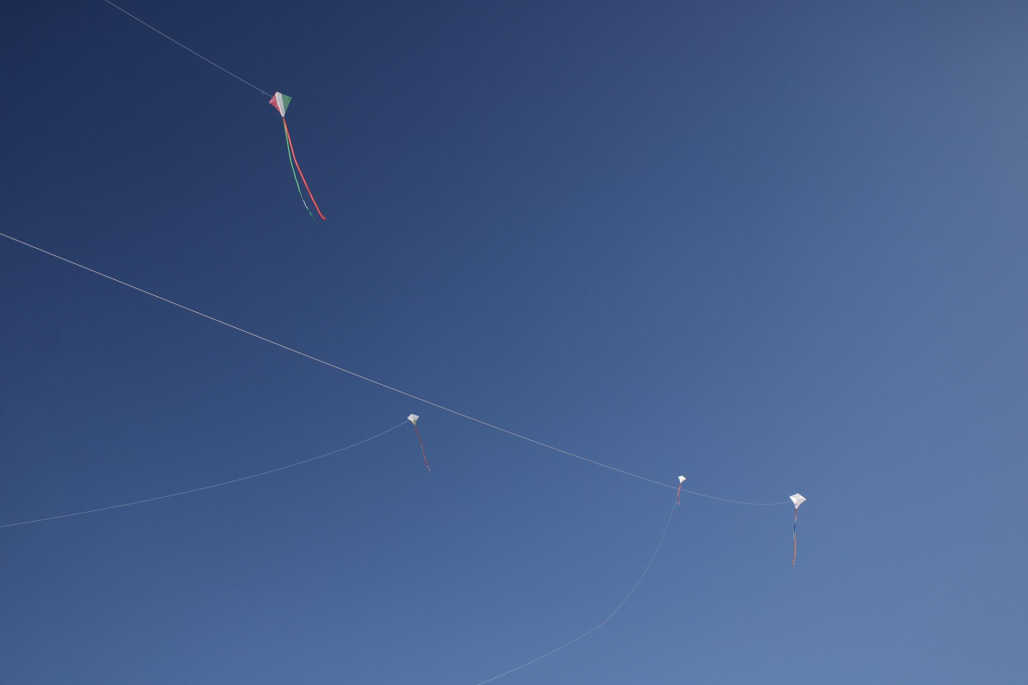 AFJROTC Kite Flying(Photos by Emily Crowell)