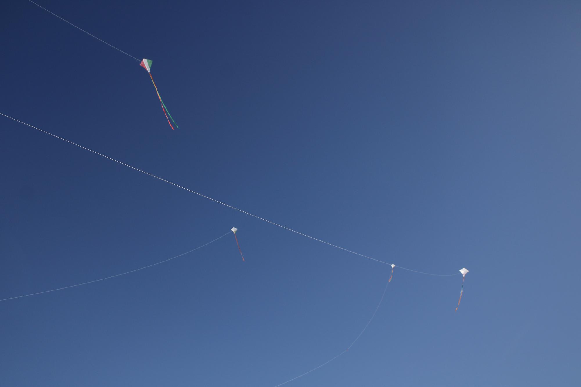 AFJROTC Kite Flying(Photos by Emily Crowell)