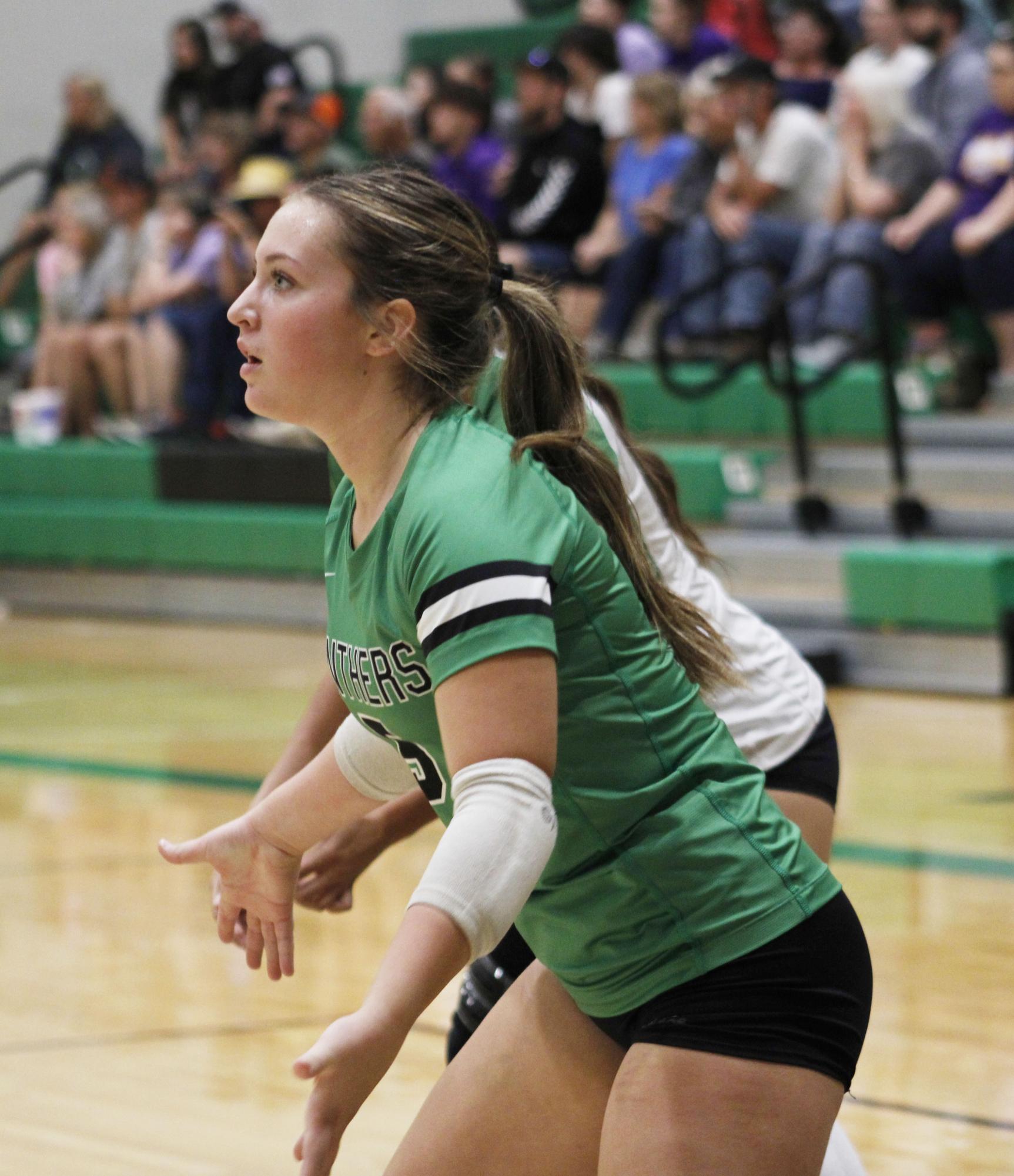 Varsity Volleyball (Photos by, Emily Crowell)