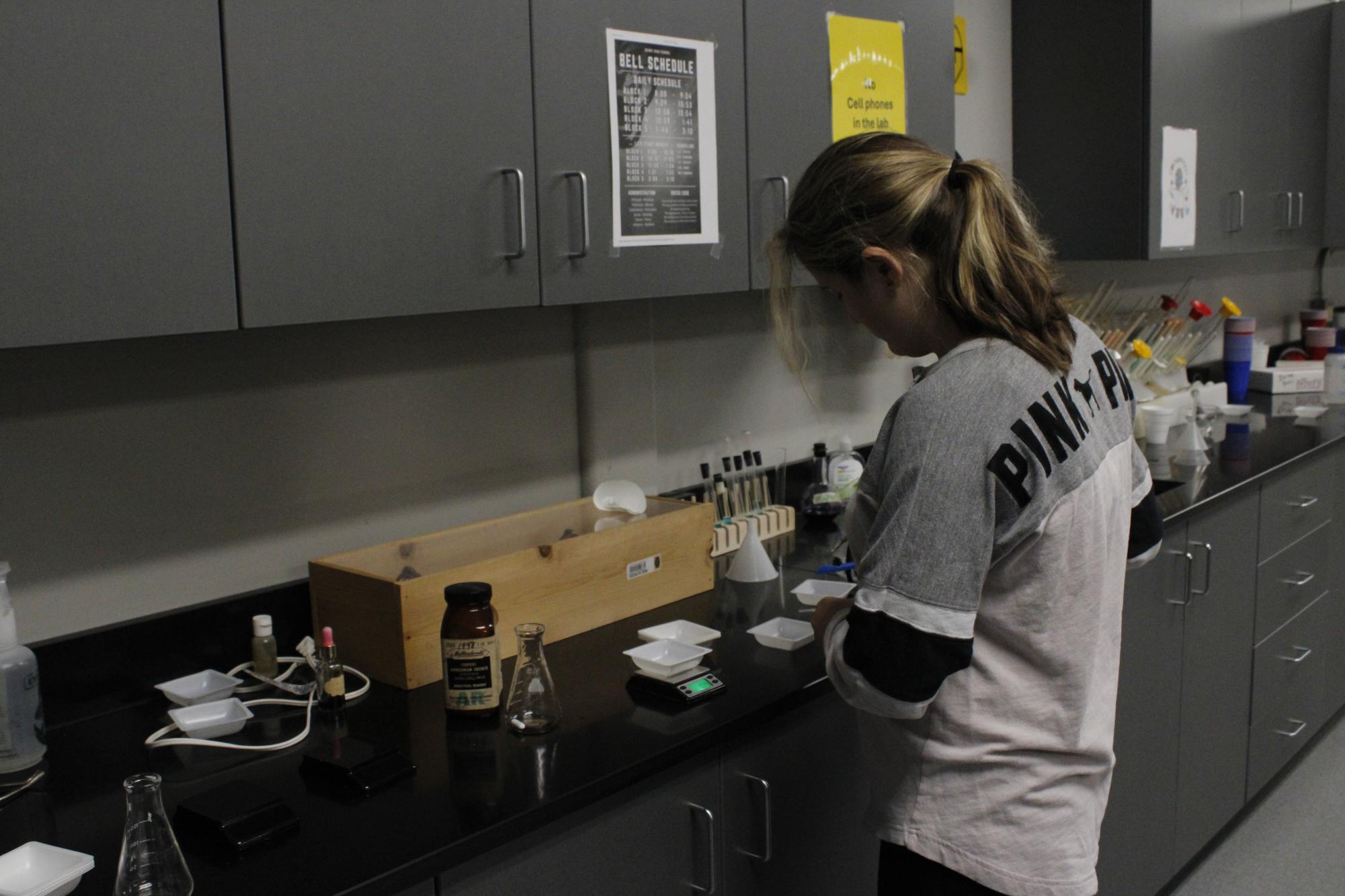 Ap Chem Lab (Photos by Holly Bookout)