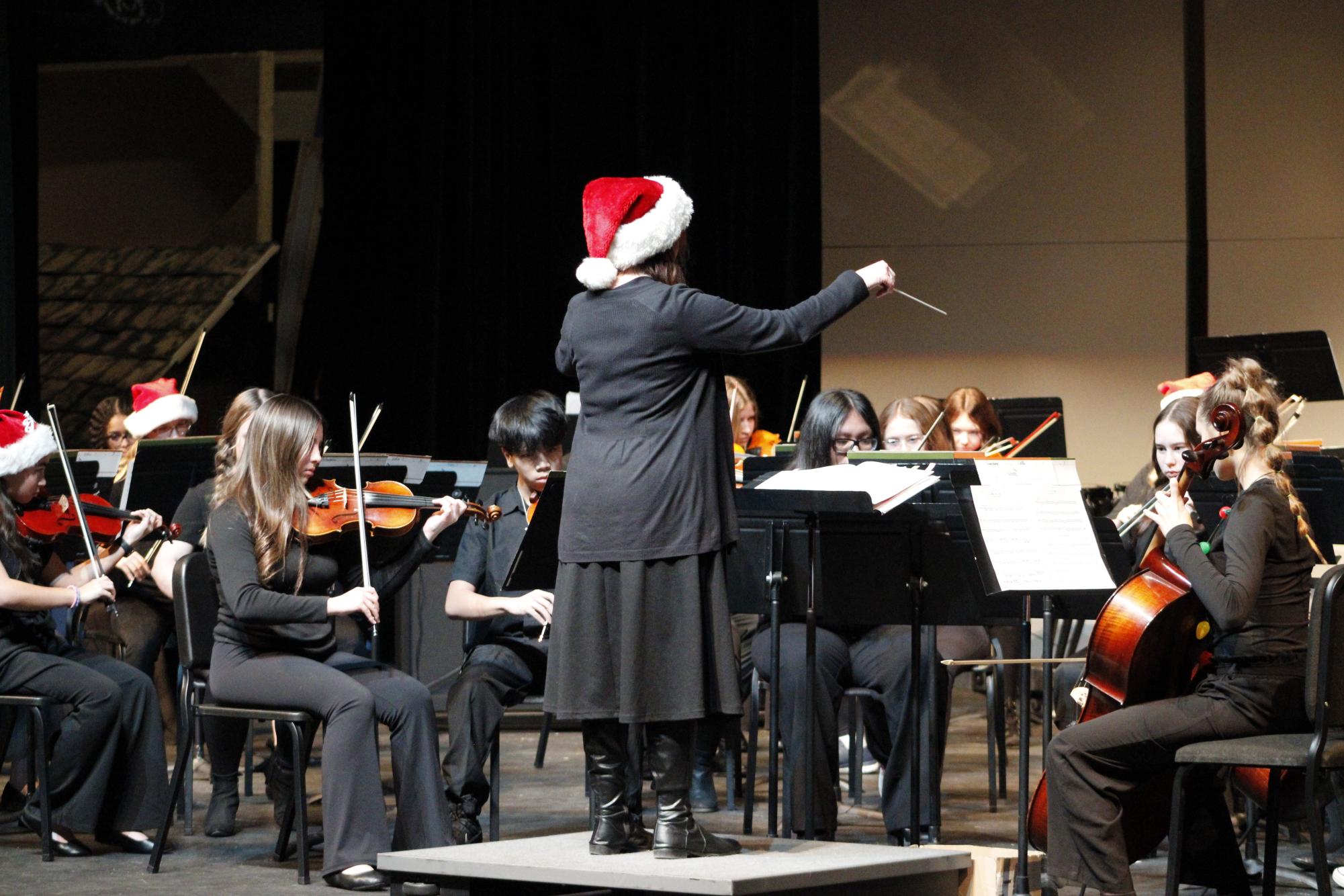 Symphony orchestra concert (Photos by Persephone Ivy)