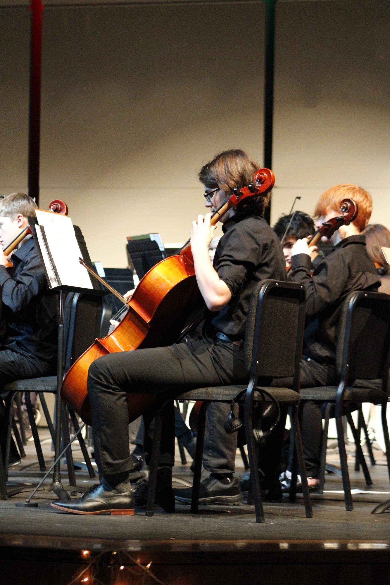 Symphony orchestra concert (Photos by Persephone Ivy)