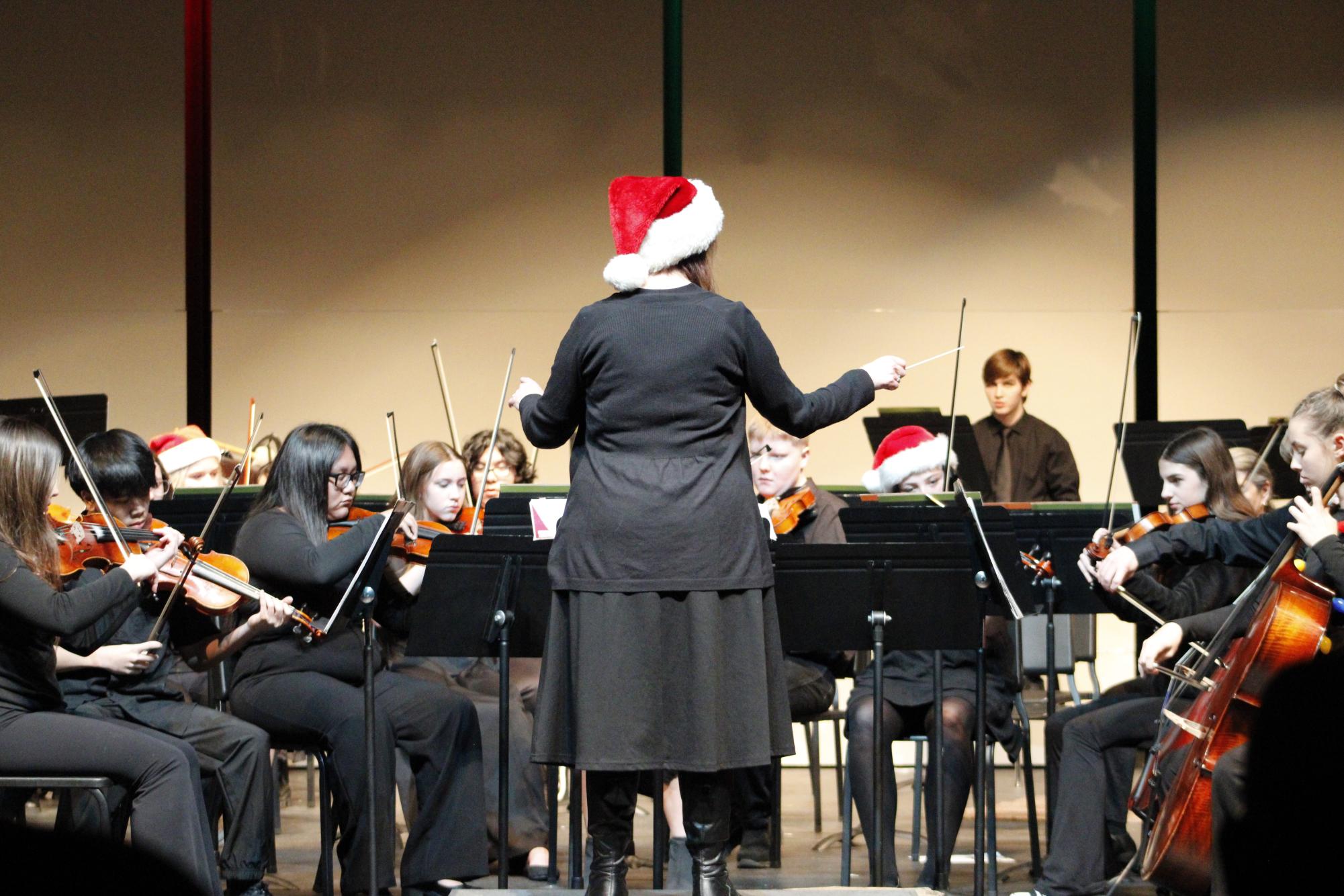 Symphony orchestra concert (Photos by Persephone Ivy)