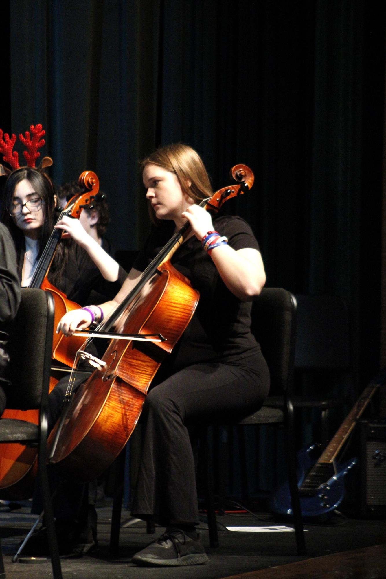 Symphony orchestra concert (Photos by Persephone Ivy)