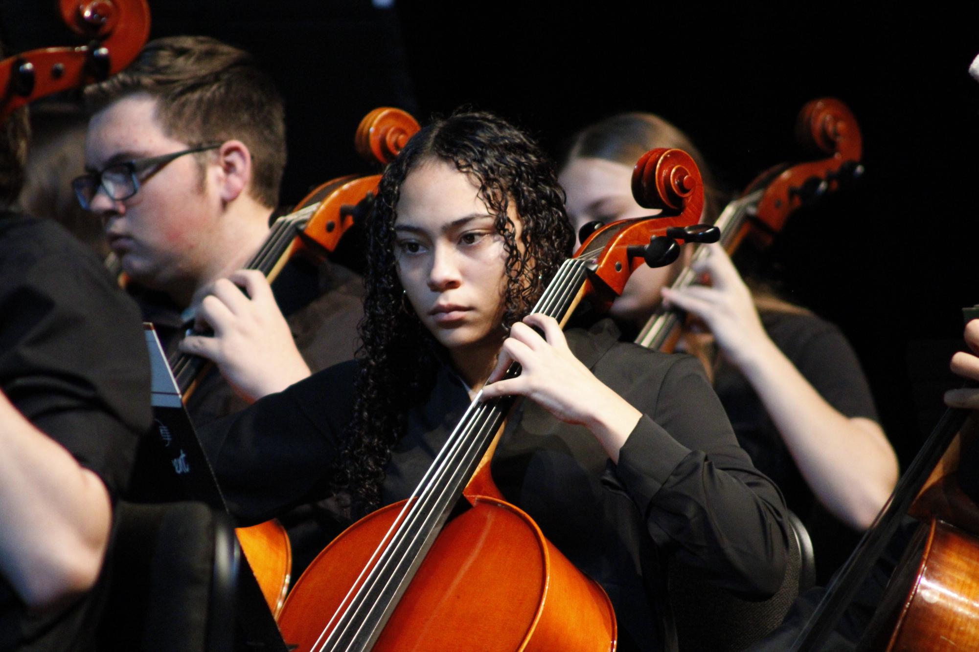 Symphony orchestra concert (Photos by Persephone Ivy)