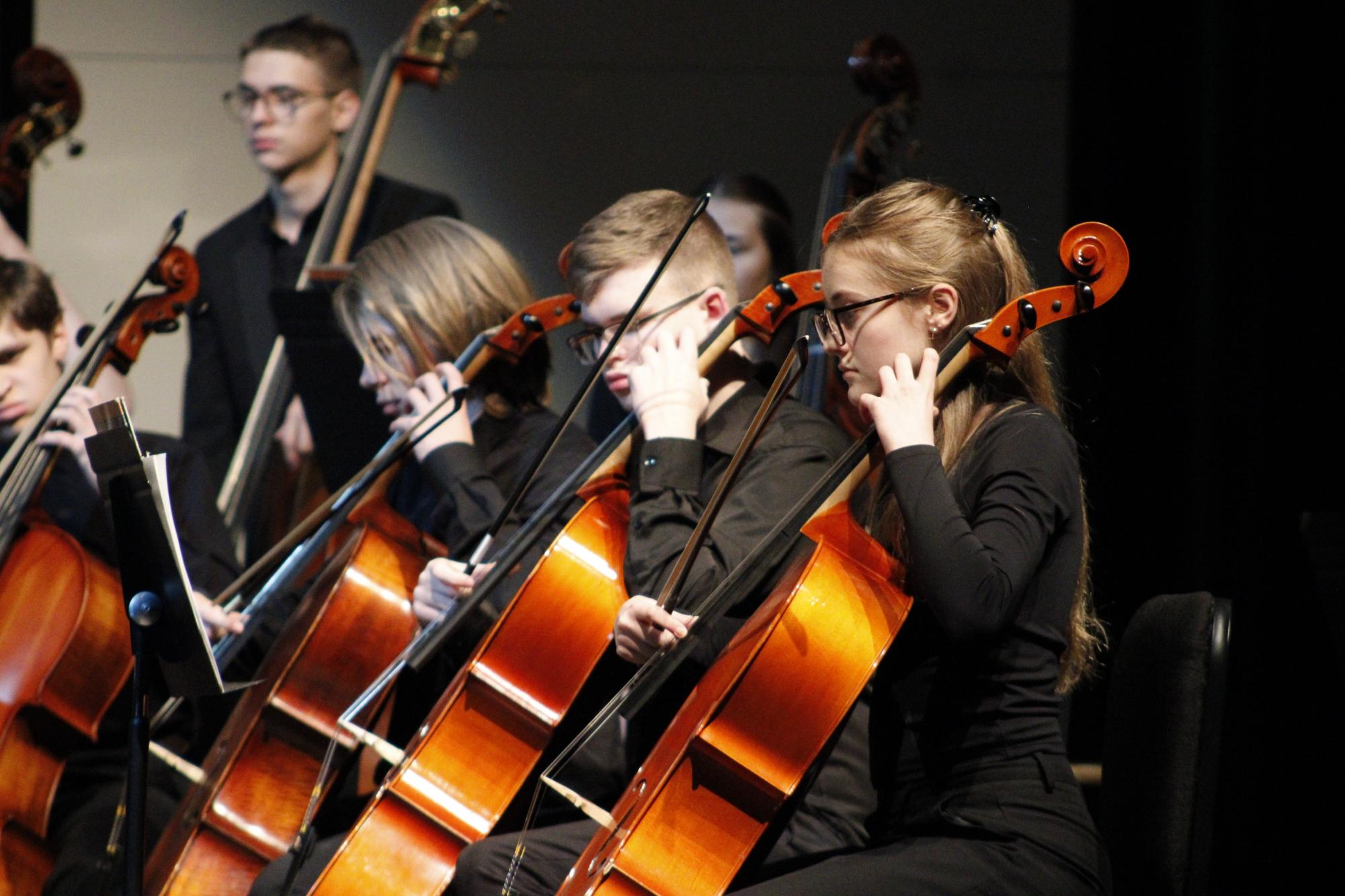 Philharmonic orchestra (Photos by Persephone Ivy)