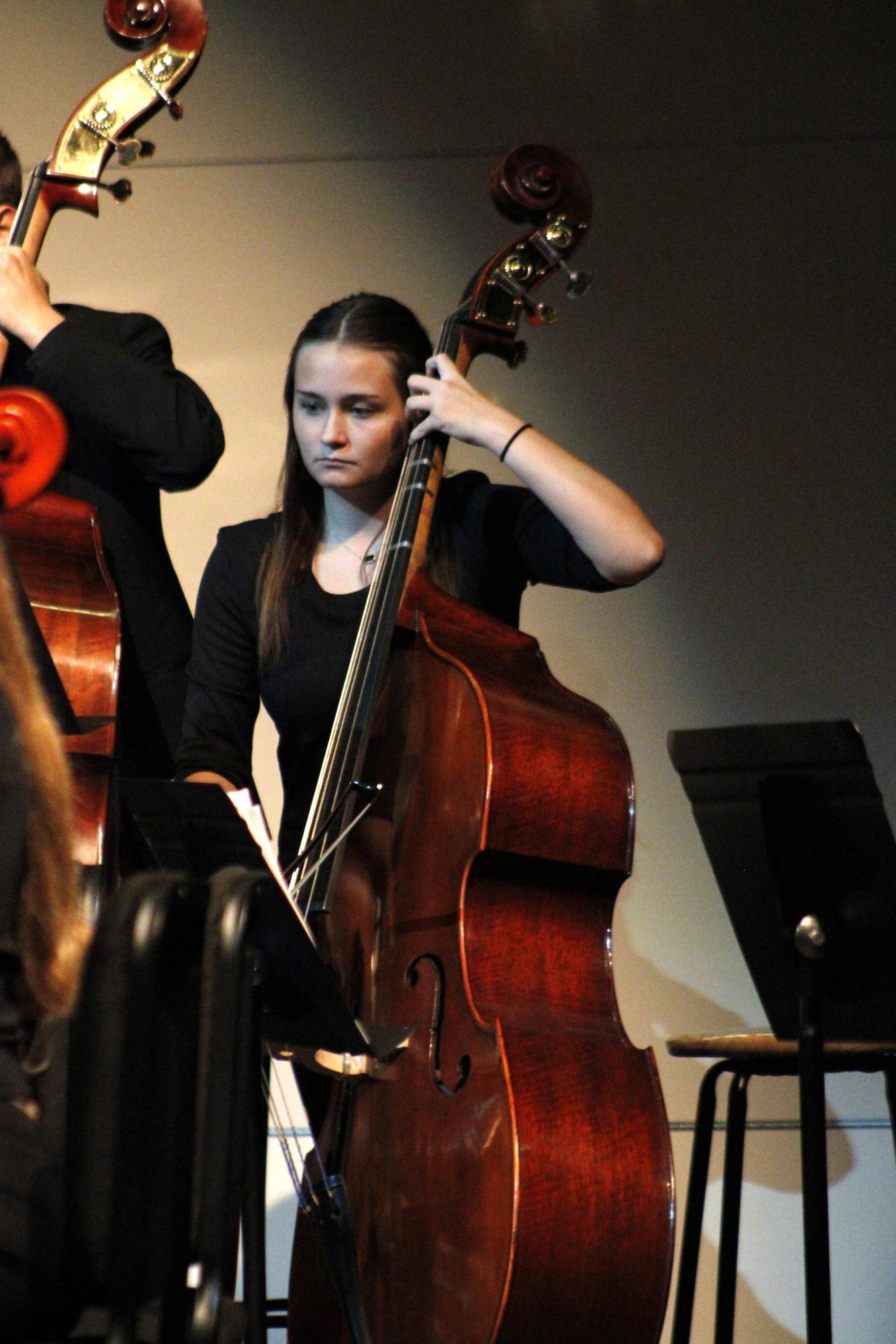 Philharmonic orchestra (Photos by Persephone Ivy)