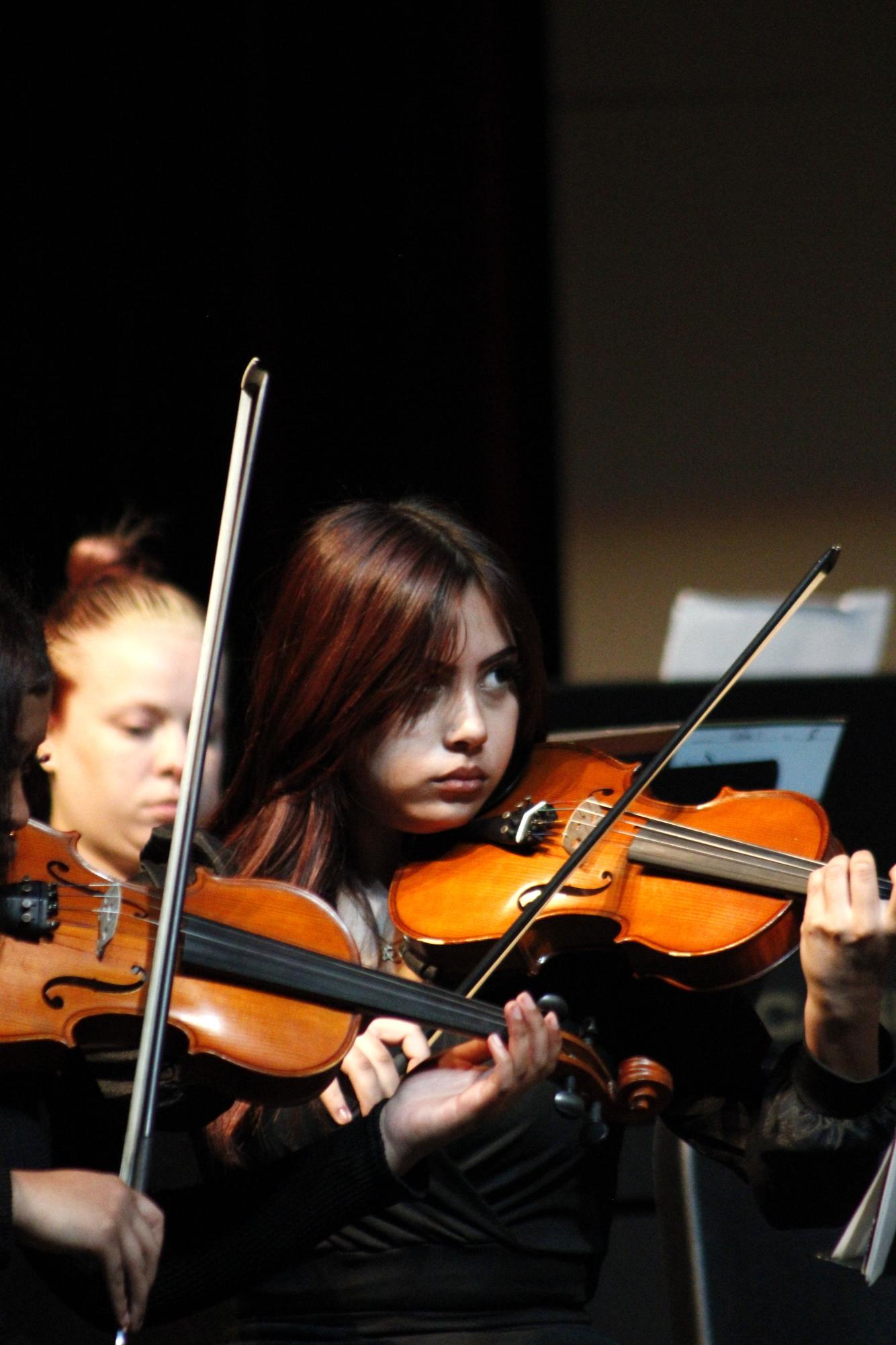 Philharmonic orchestra (Photos by Persephone Ivy)