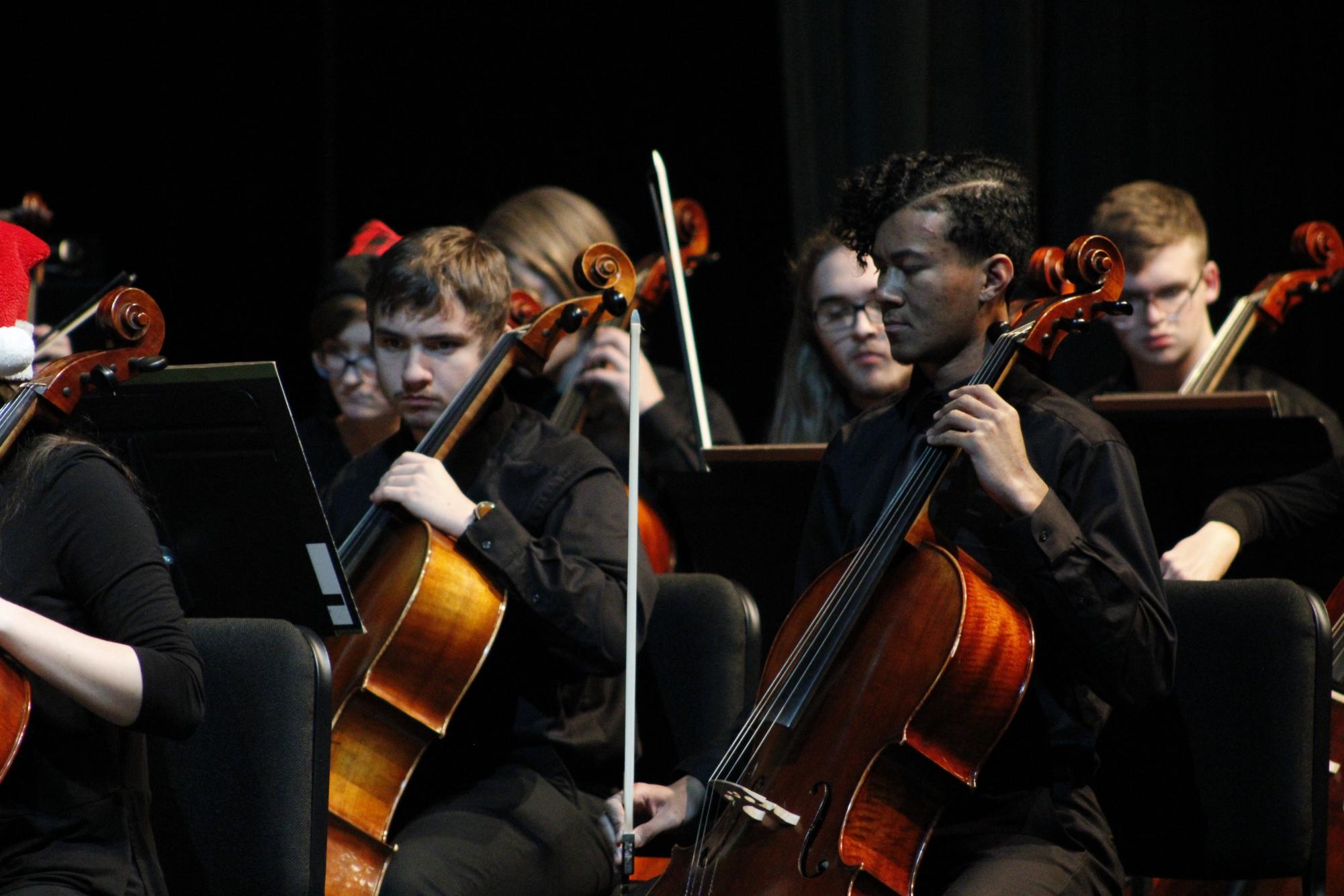 Philharmonic orchestra (Photos by Persephone Ivy)