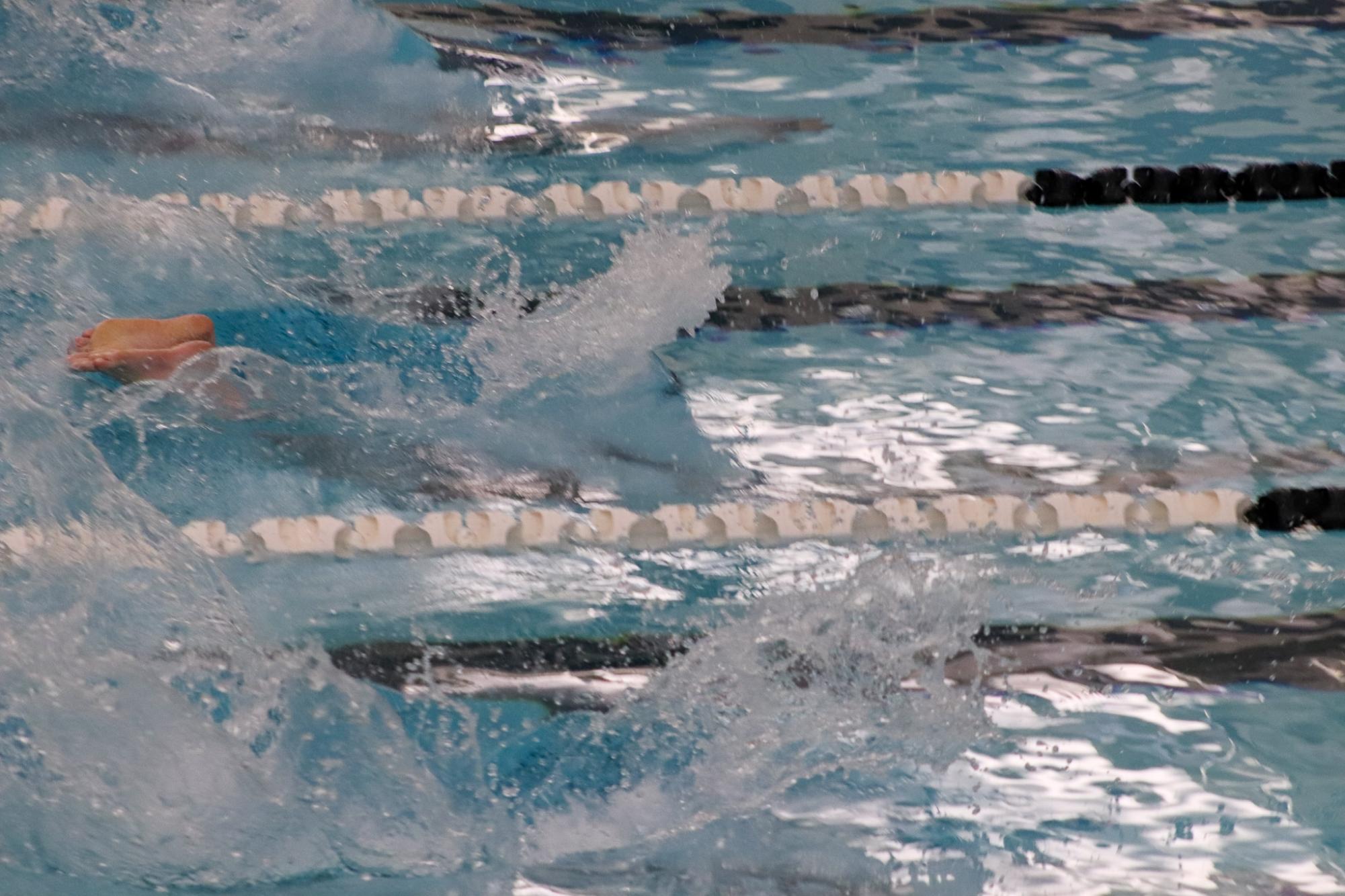 Boys swim at Campus (Photos by Delainey Stephenson)