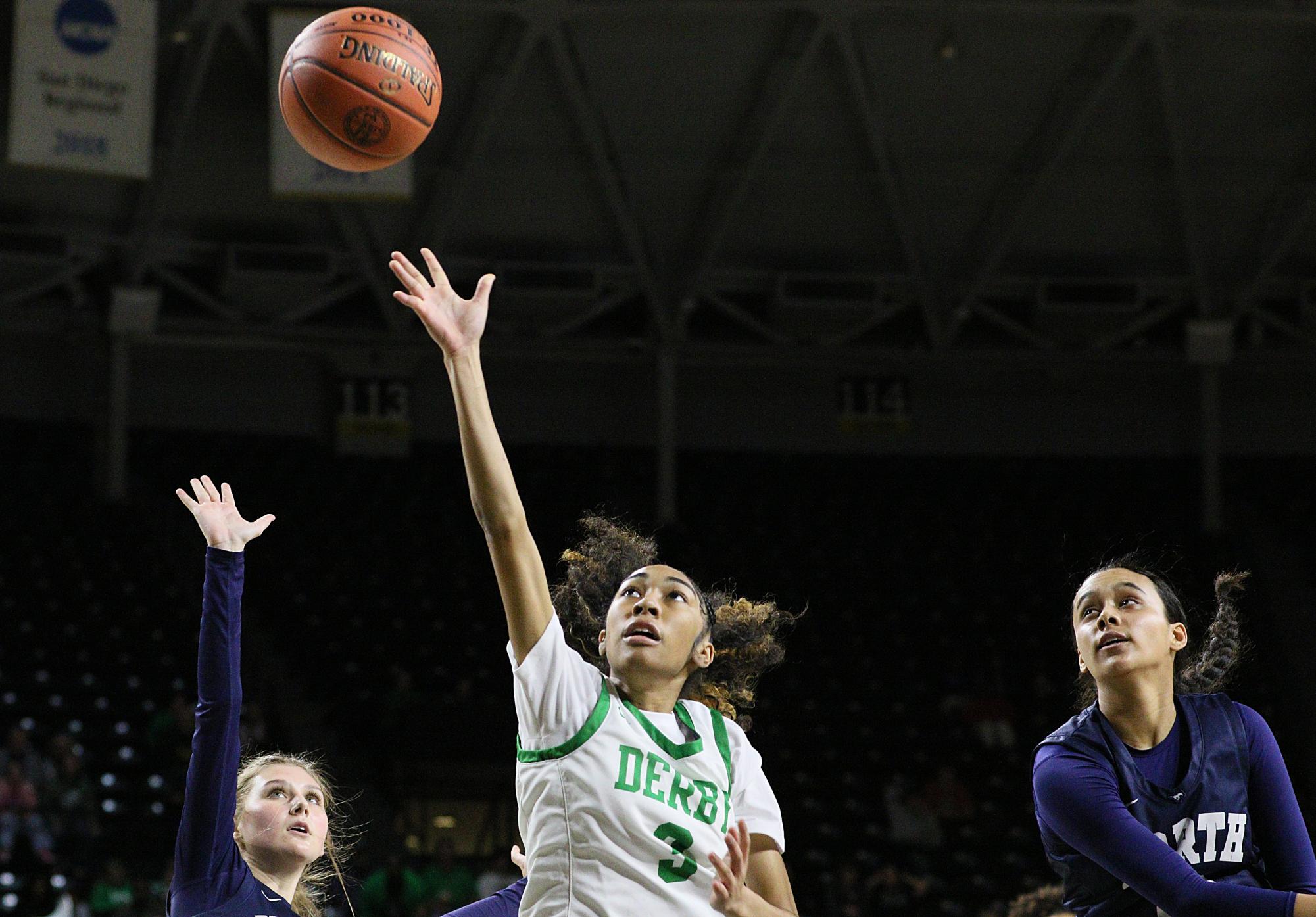 Girls state basketball vs. Blue Valley North (Photos by Maggie Elliott)