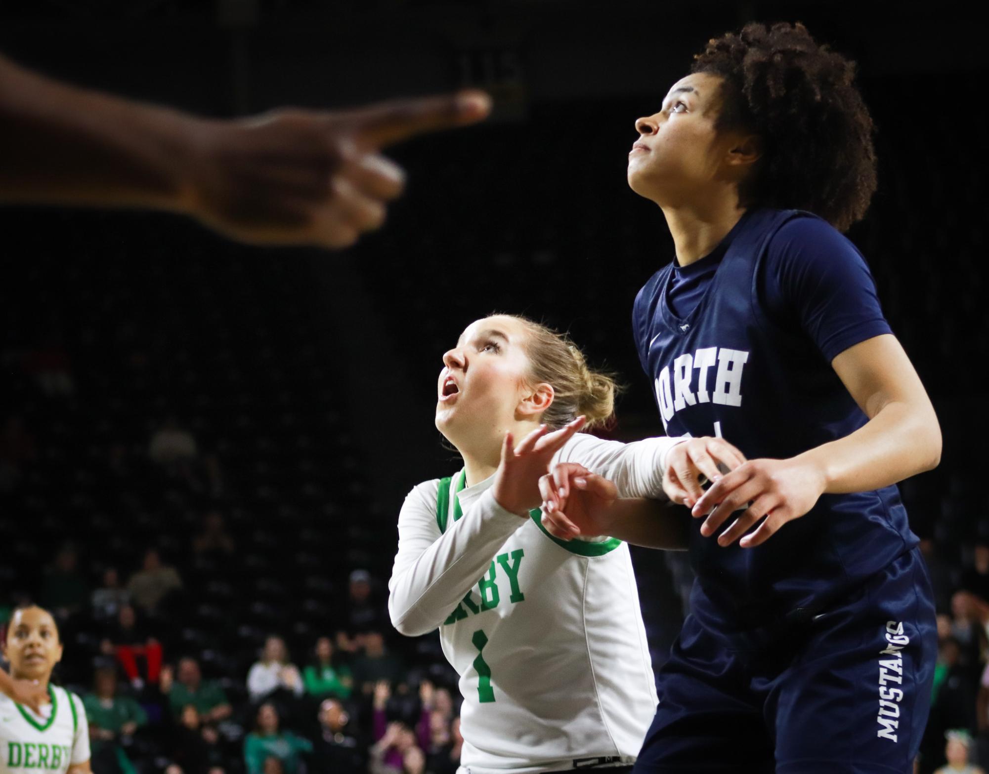 Girls basketball state championship vs. Blue Valley (Photos by Ava Mbawuike)