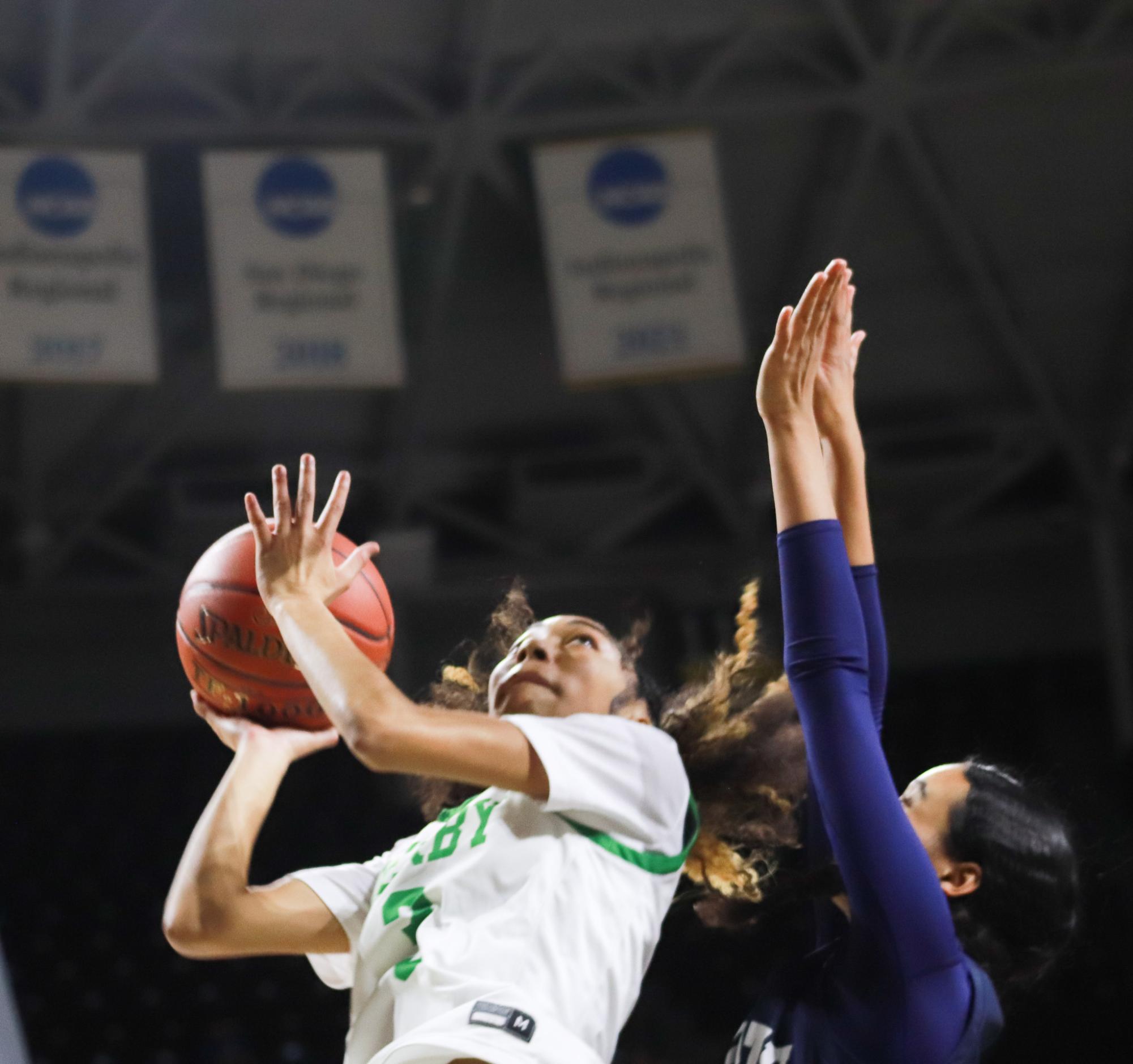 Girls basketball state championship vs. Blue Valley (Photos by Ava Mbawuike)