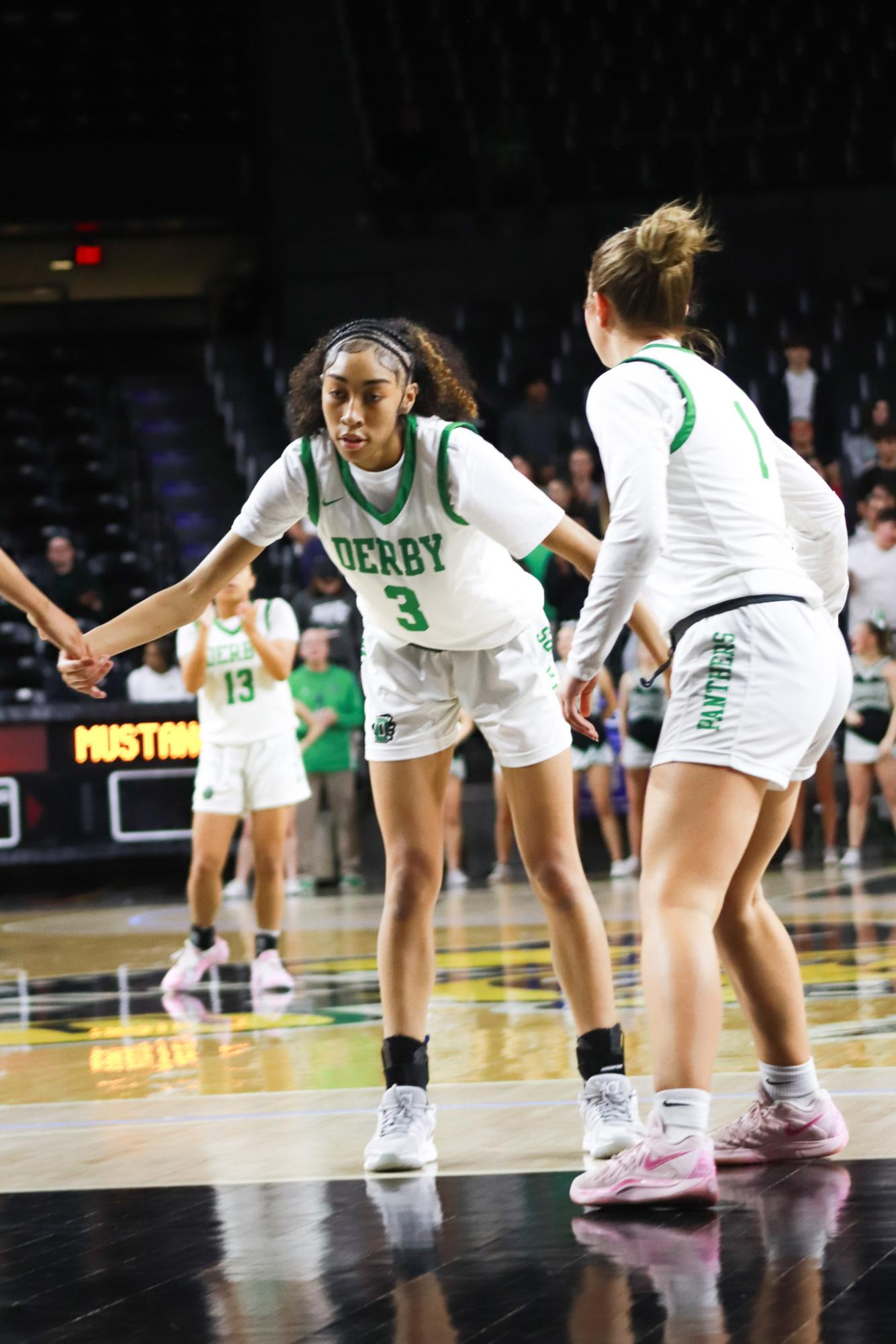 Girls basketball state championship vs. Blue Valley (Photos by Ava Mbawuike)