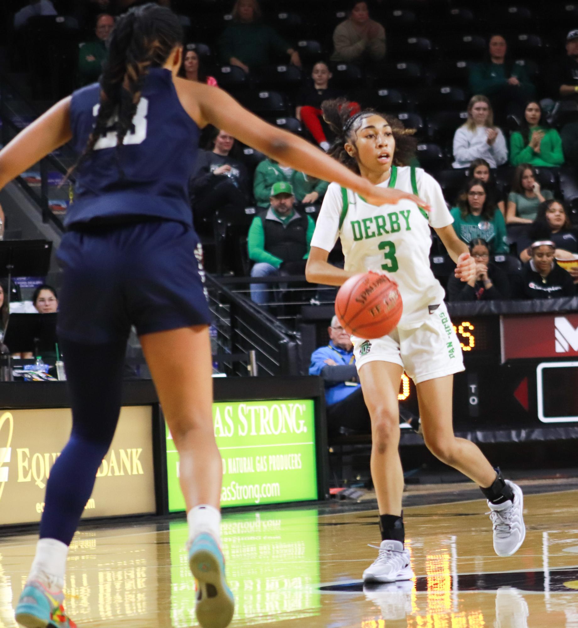 Girls basketball state championship vs. Blue Valley (Photos by Ava Mbawuike)