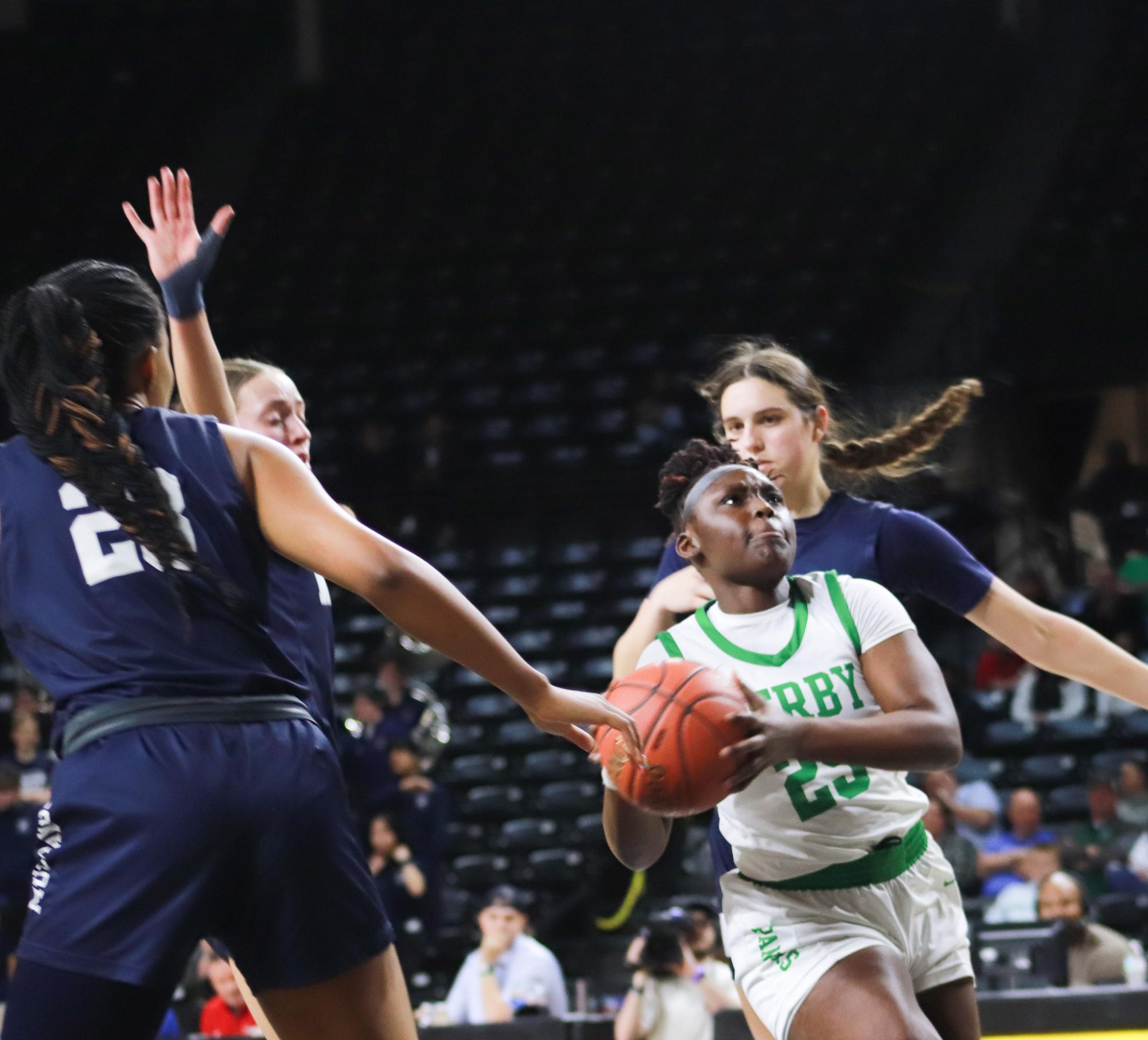 Girls basketball state championship vs. Blue Valley (Photos by Ava Mbawuike)