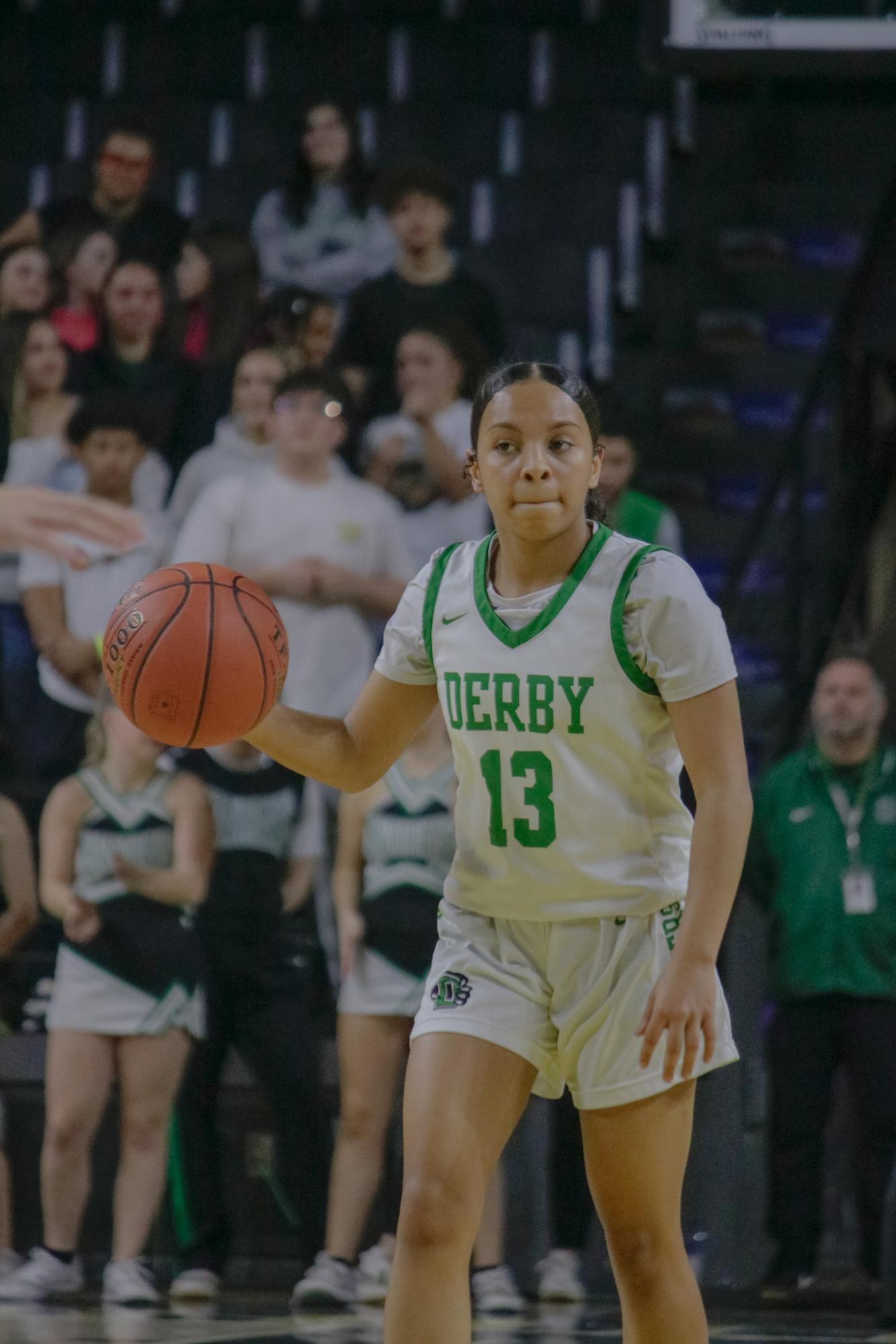 Girls state basketball vs. Blue Valley North (Photos by Persephone Ivy)