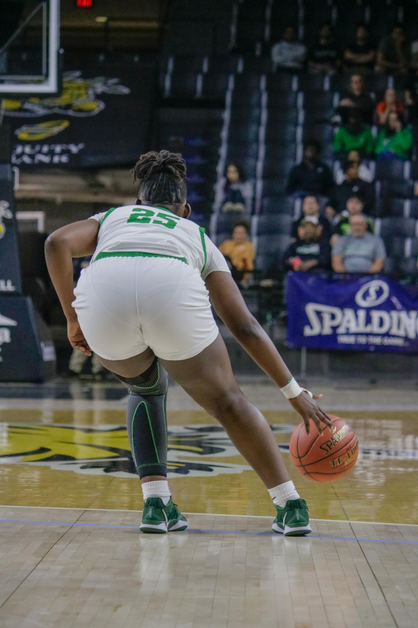 Girls state basketball vs. Blue Valley North (Photos by Persephone Ivy)