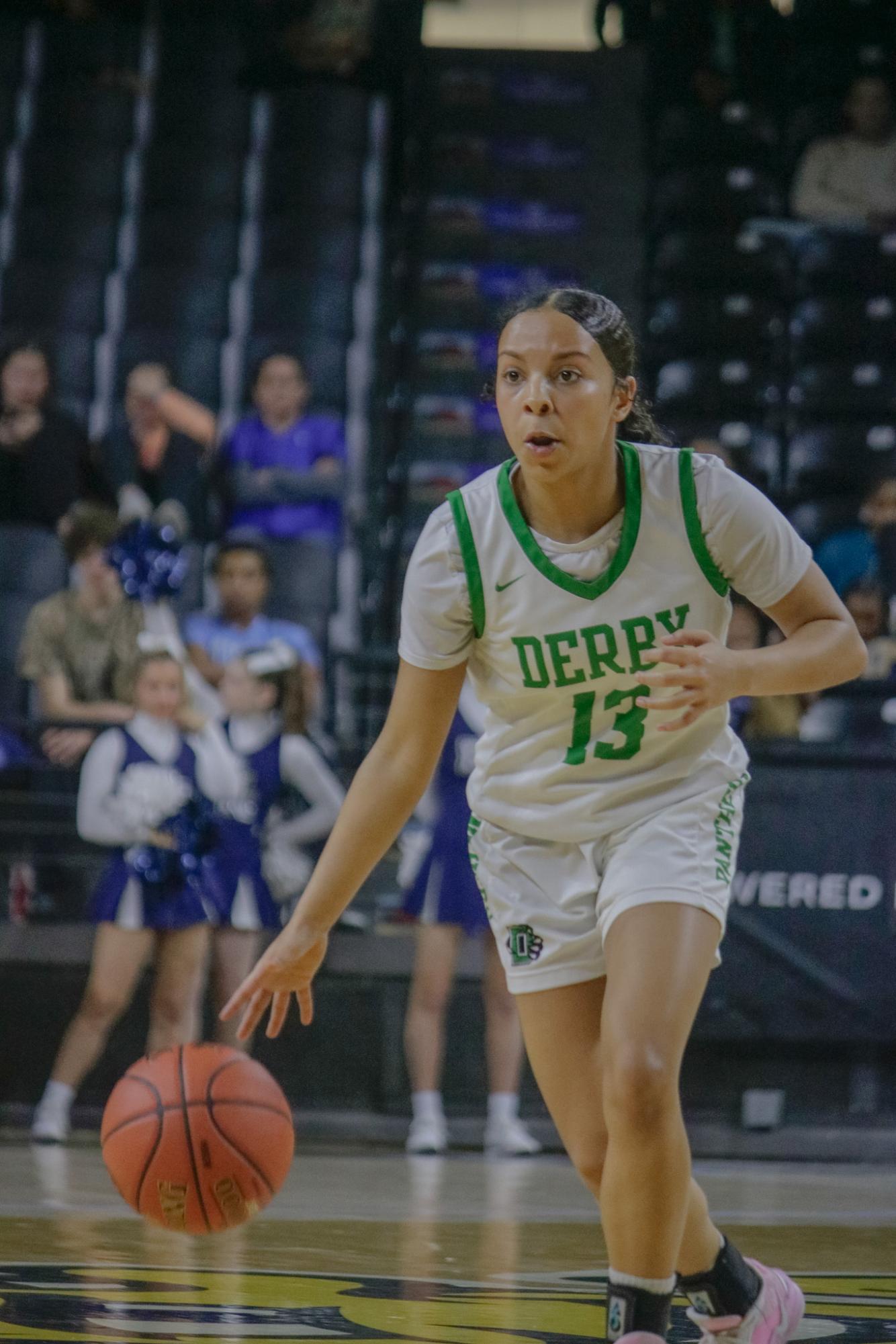 Girls state basketball vs. Blue Valley North (Photos by Persephone Ivy)