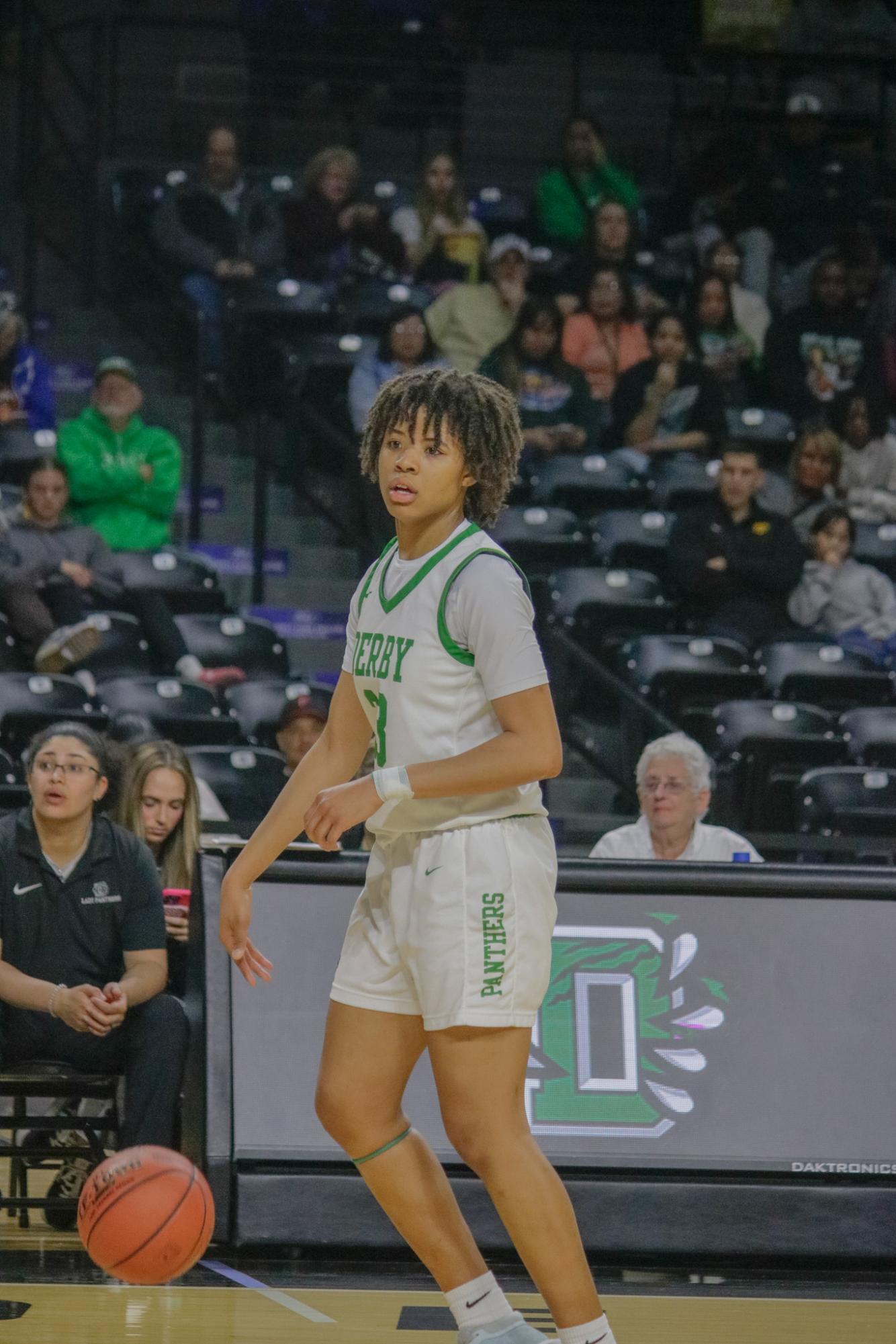 Girls state basketball vs. Blue Valley North (Photos by Persephone Ivy)