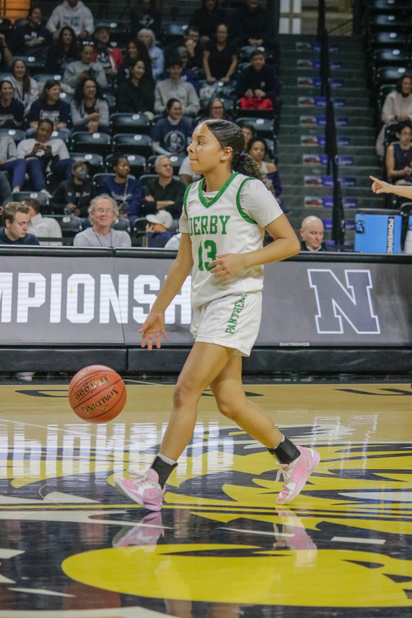 Girls state basketball vs. Blue Valley North (Photos by Persephone Ivy)