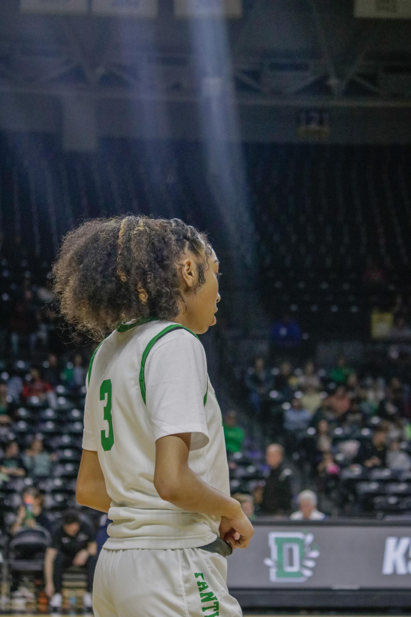 Girls state basketball vs. Blue Valley North (Photos by Persephone Ivy)