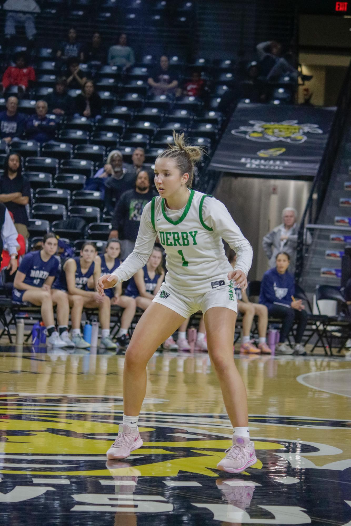 Girls state basketball vs. Blue Valley North (Photos by Persephone Ivy)