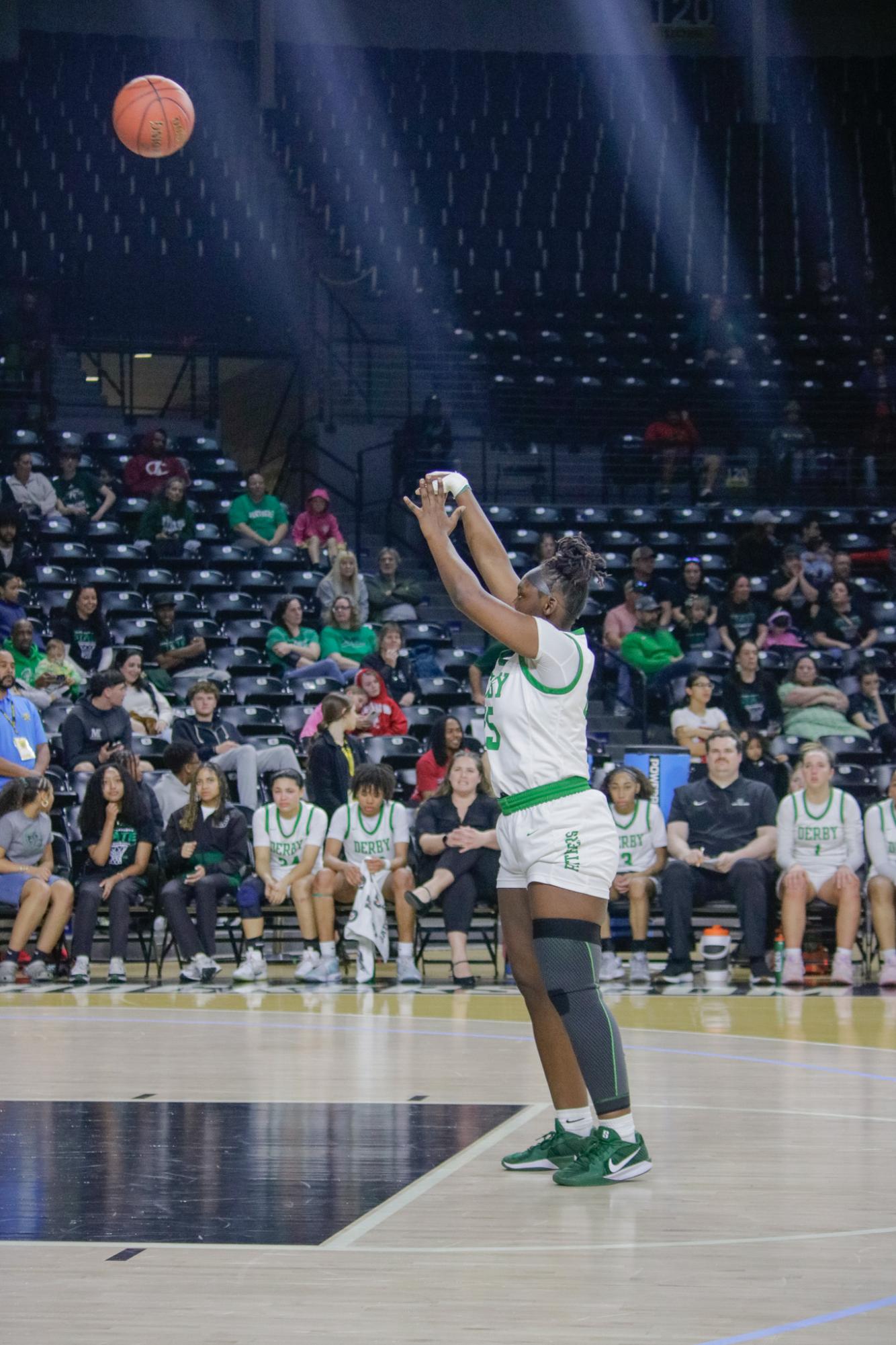 Girls state basketball vs. Blue Valley North (Photos by Persephone Ivy)