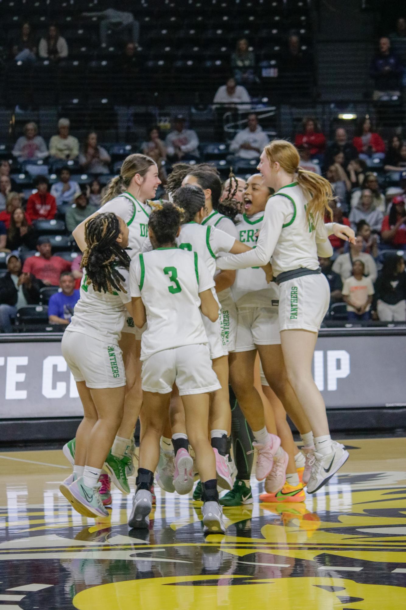 Girls state basketball vs. Olathe North (Photos by Persephone Ivy)