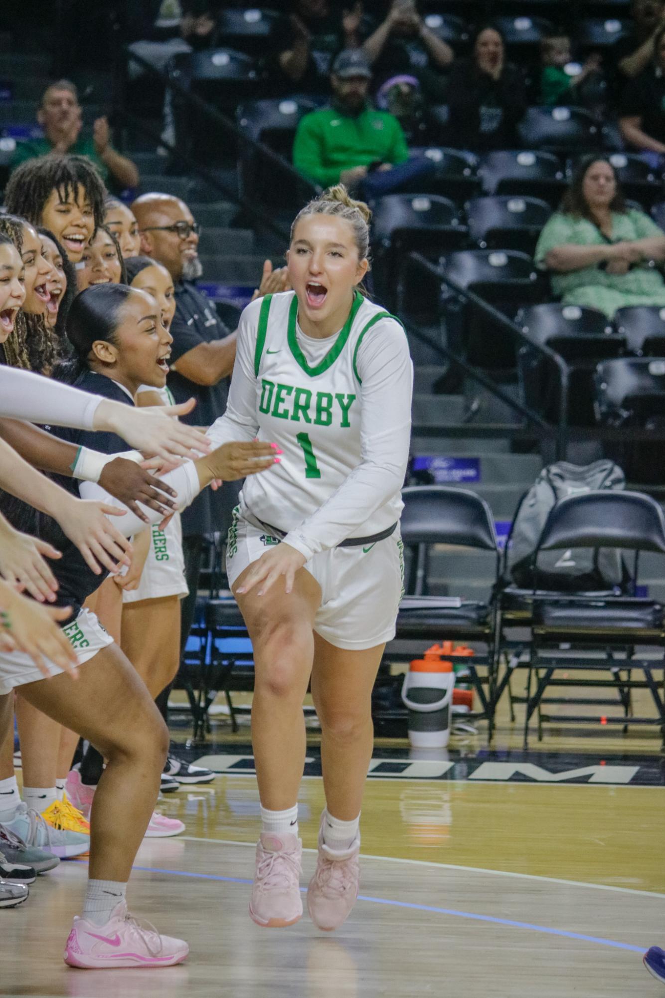 Girls state basketball vs. Blue Valley North (Photos by Persephone Ivy)