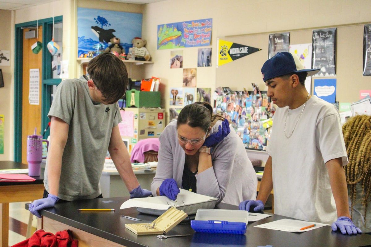 Zoology teacher Meghan Alexander teaches the students about the parts of the grasshopper. 