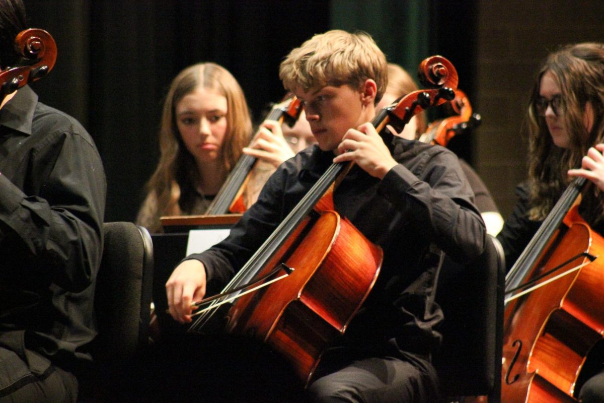 On May 20, DNMS Orchestra members played by themselves as well as with DHS SYmphony Orchestra for a combined concert. Many students were recognized for their hard work and dedication to the programs.