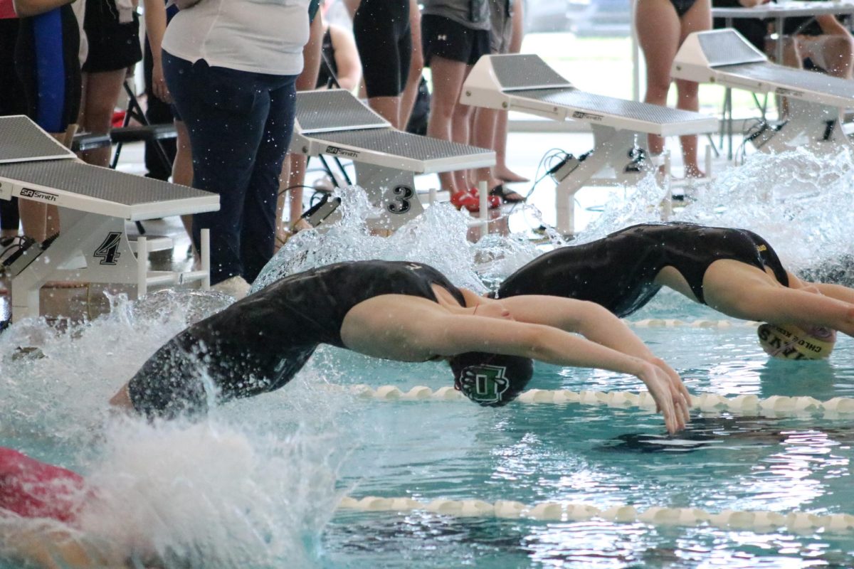 The Lady Panthers took home their seventh consecutive AVCTL I title. They dominated the other teams with a score of 497, 2nd place was Maize South with 325 points. 32/38 swims were new personal best swims.  