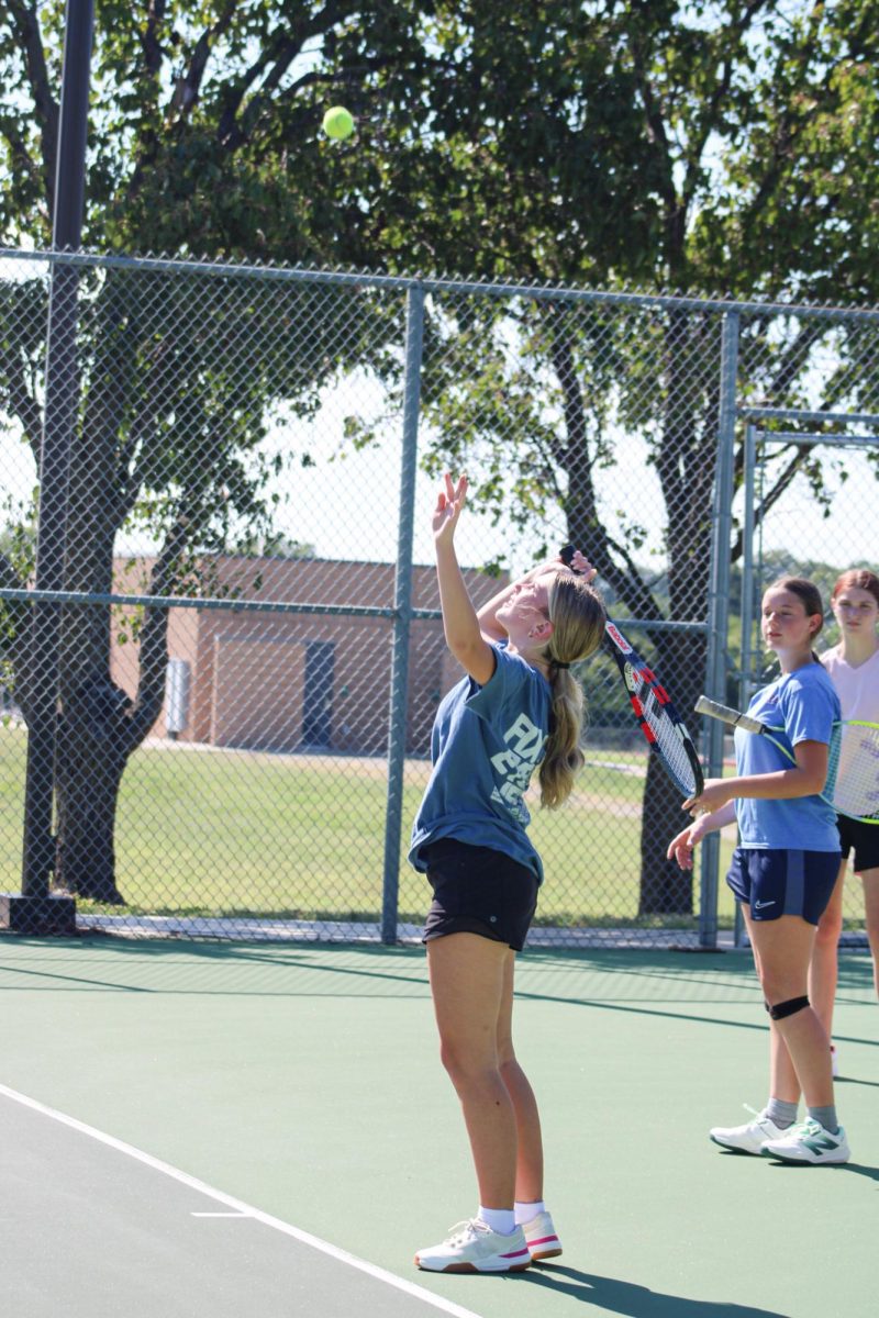 Player gets ready to hit the ball. 