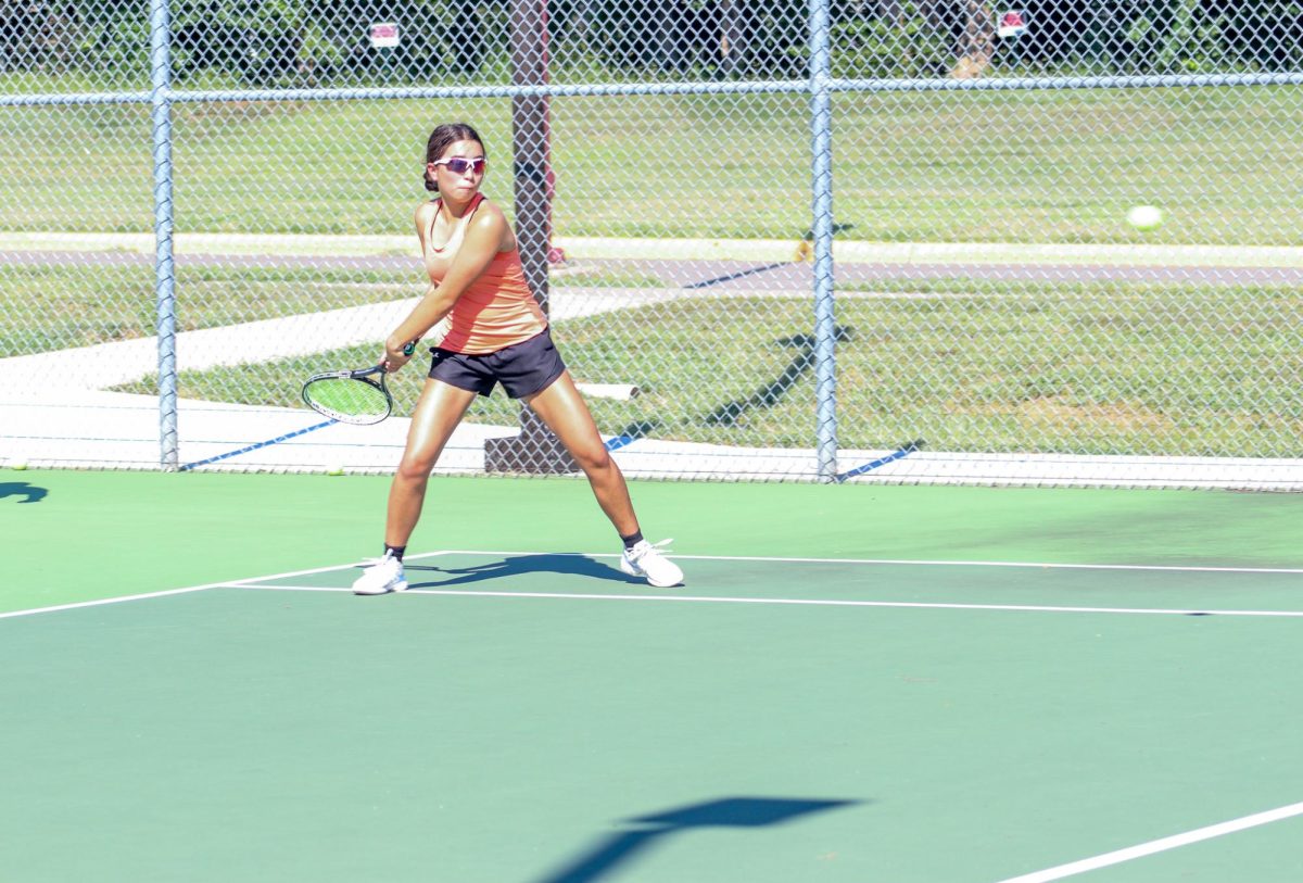 Player gets ready to hit the ball.