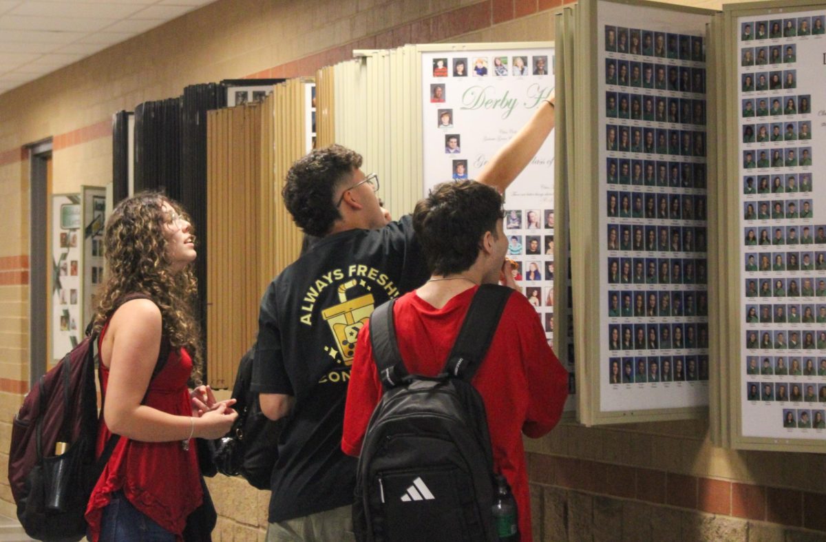 Student points at the alumni photo.