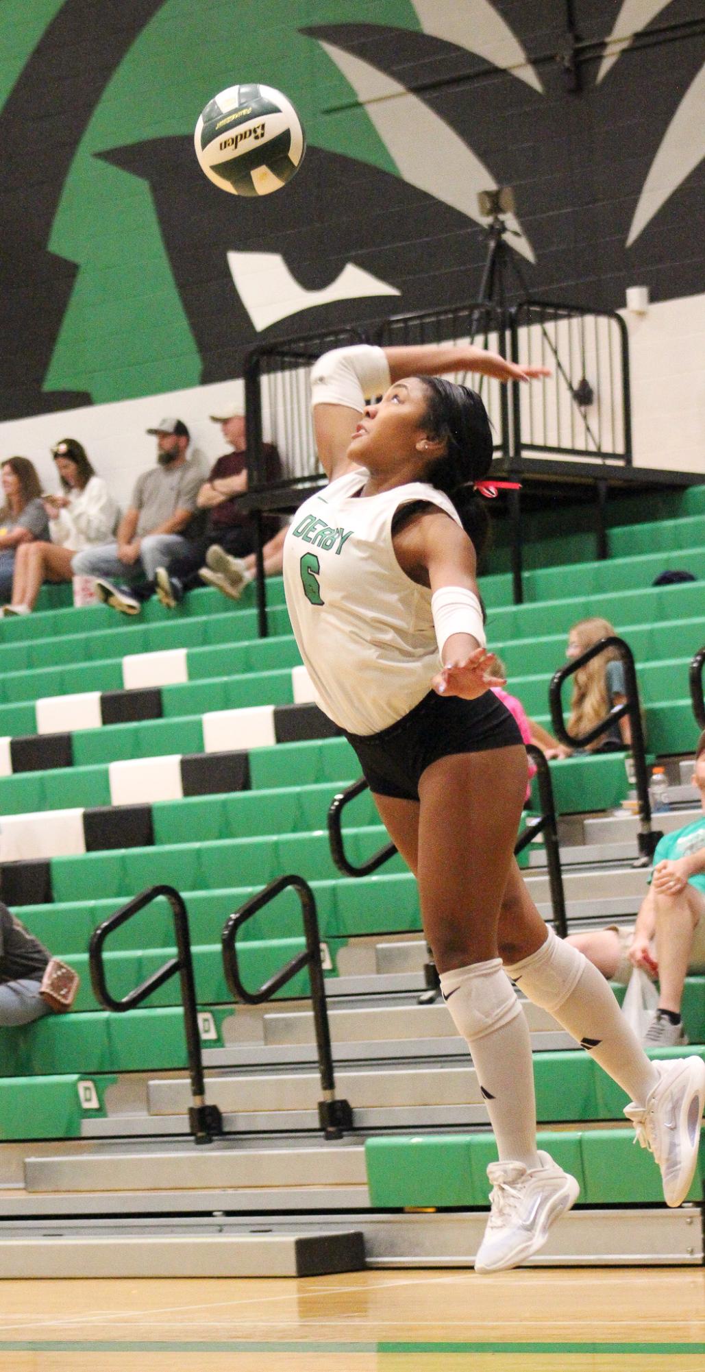 Volleyball vs. Hutch (Photos by Bree Stuhlsatz)