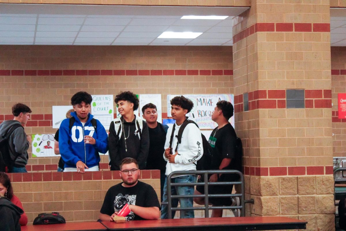 Panthers talking to eachother.