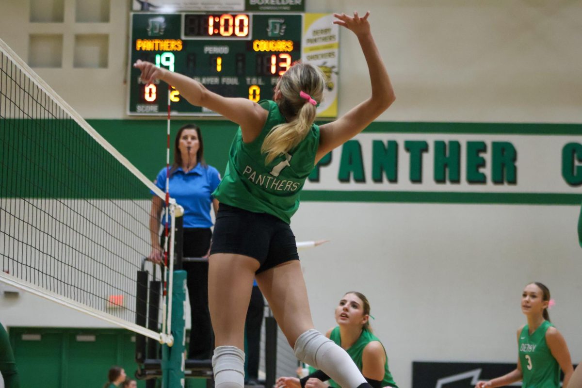 Volleyball player prepares to hit the ball.