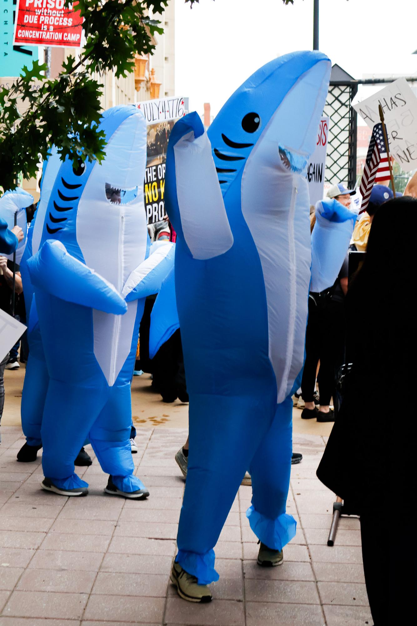 No Kings Protest (Photos by Ava Mbawuike)