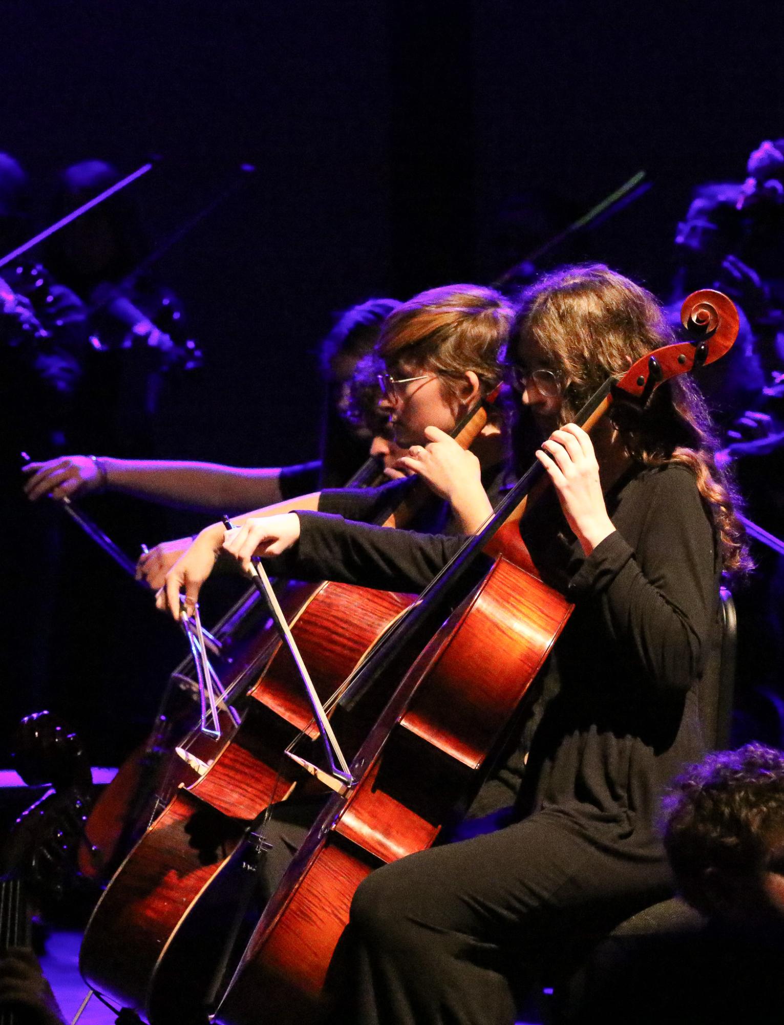 Orchestra Concert (Photos by Bree Stuhlsatz)